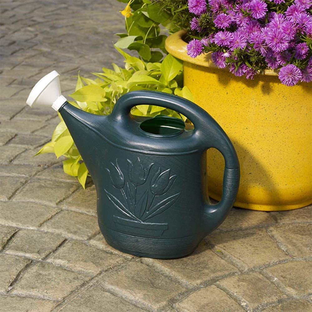 Novelty MFG 30301 Watering Can, 2-Gallon, Green - Image 4