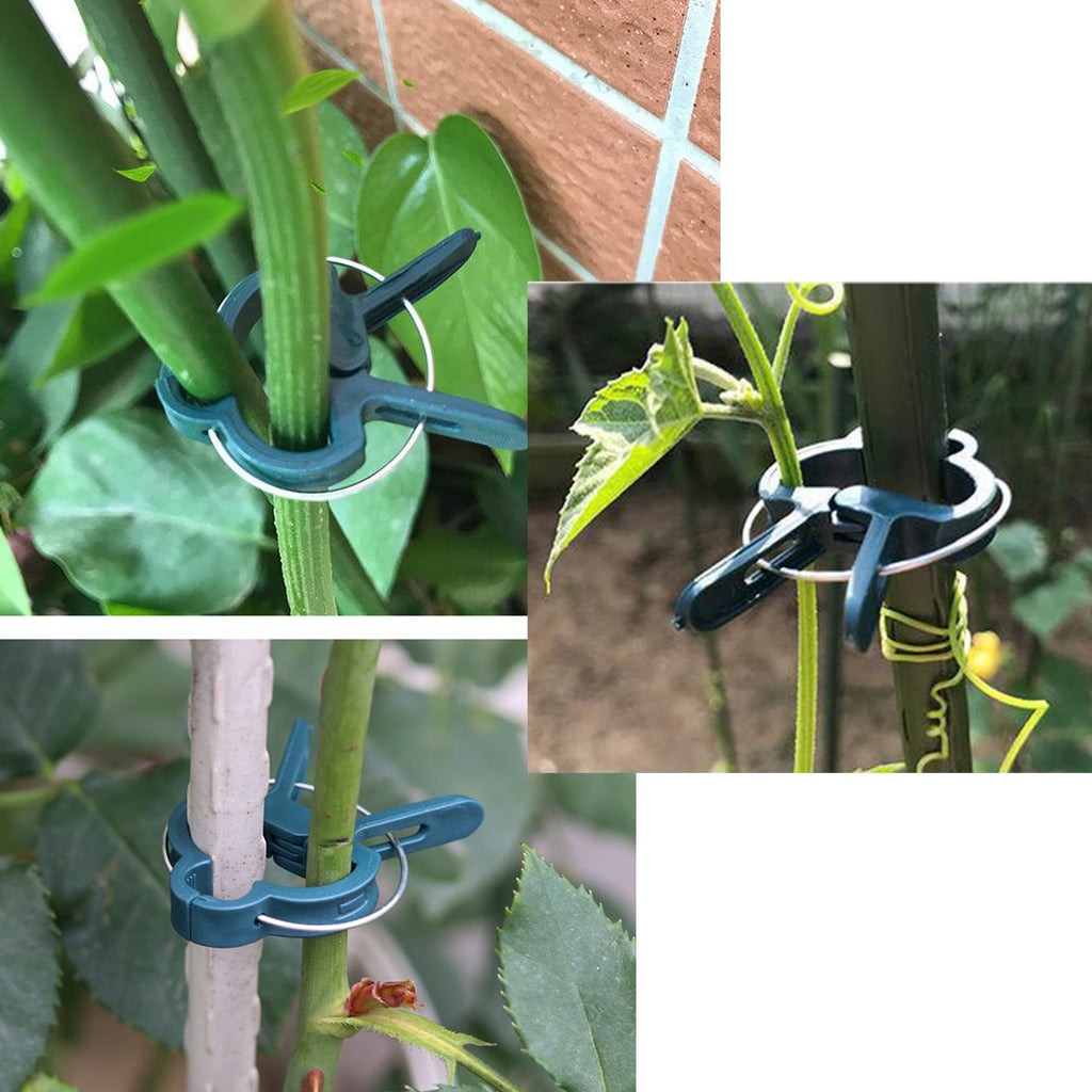 luopital Garden Plant Vine Clips with Easy to Unlock (140Pcs) - Image 4