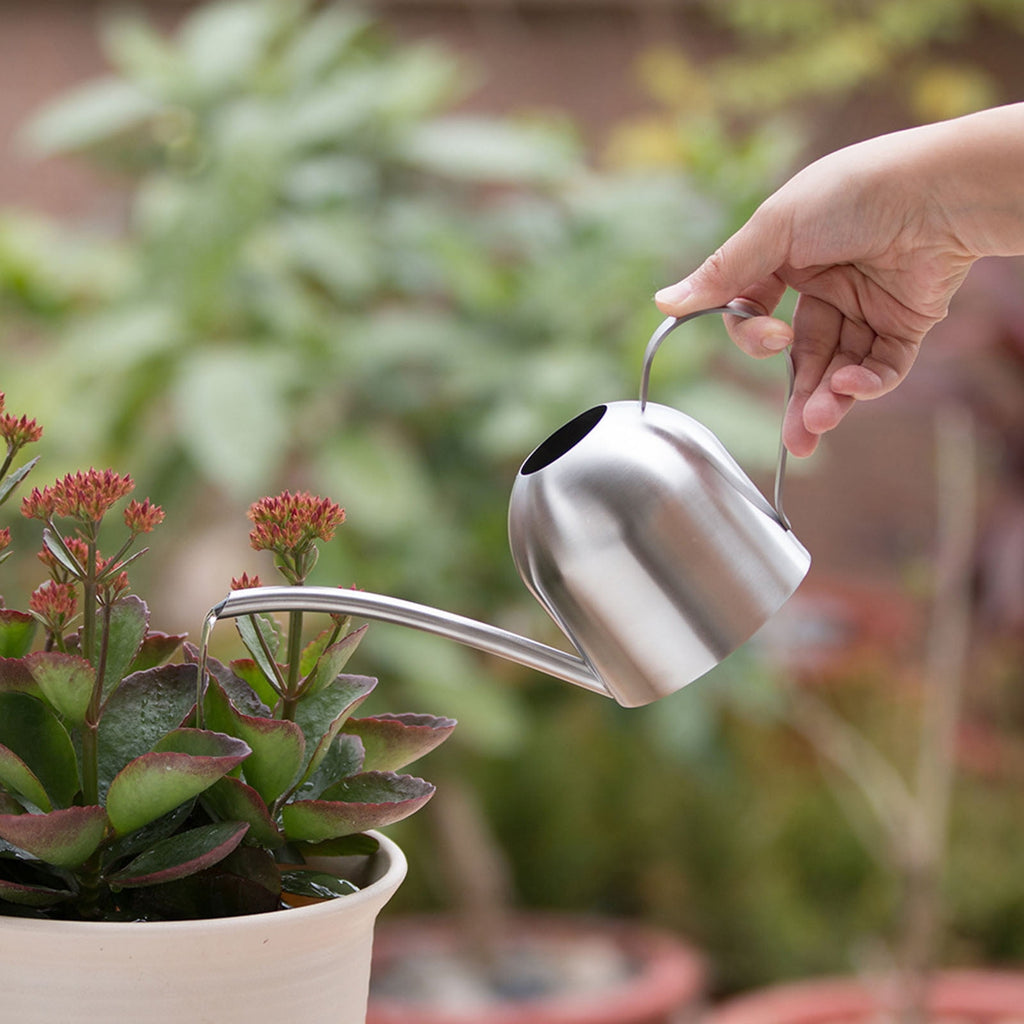 Self Watering Pot Stainless Steel Watering Can - Metal Watering Can With Long Spout To Spillage, Perfect Plant Watering Can For Outdoor And - Image 6
