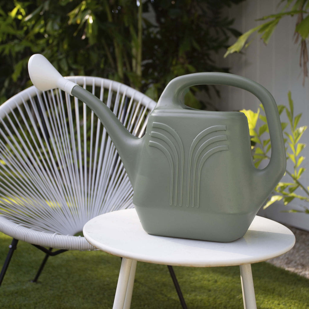 Promo 2 Gallon Plastic Watering Can - Indoor/Outdoor with 256 Fl Oz Capacity, Removable Nozzle, Basil - Image 4