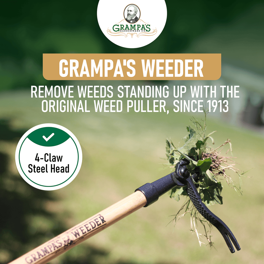 The Original Stand Up Weed Puller Tool With Long Handle - Made With 4-Claw Steel Head Design - Easily Remove Weeds Wi... - Image 5