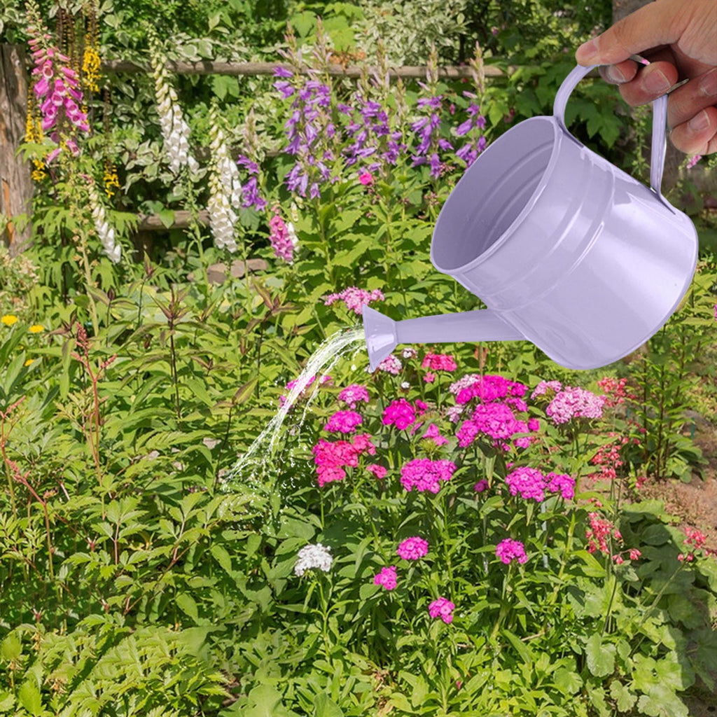 Small Watering Can for Indoor Plants Metal Watering Can For Plants Indoor Outdoor Garden Flower Pot With Floral Decorative Vintage Iron Wate - Image 4