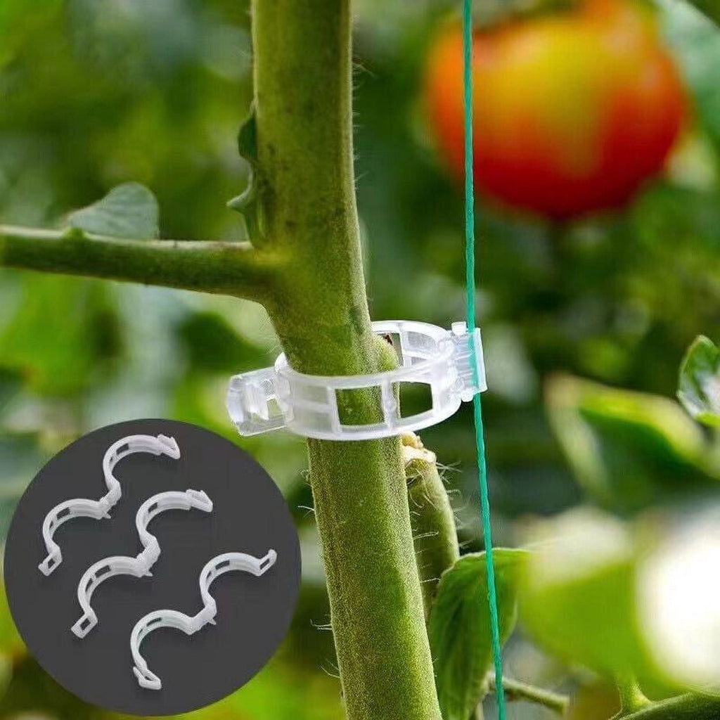 Plant Support Clips Ties Veggie Trellis Stake Greenhouse Tomato Garden Tools - Image 3