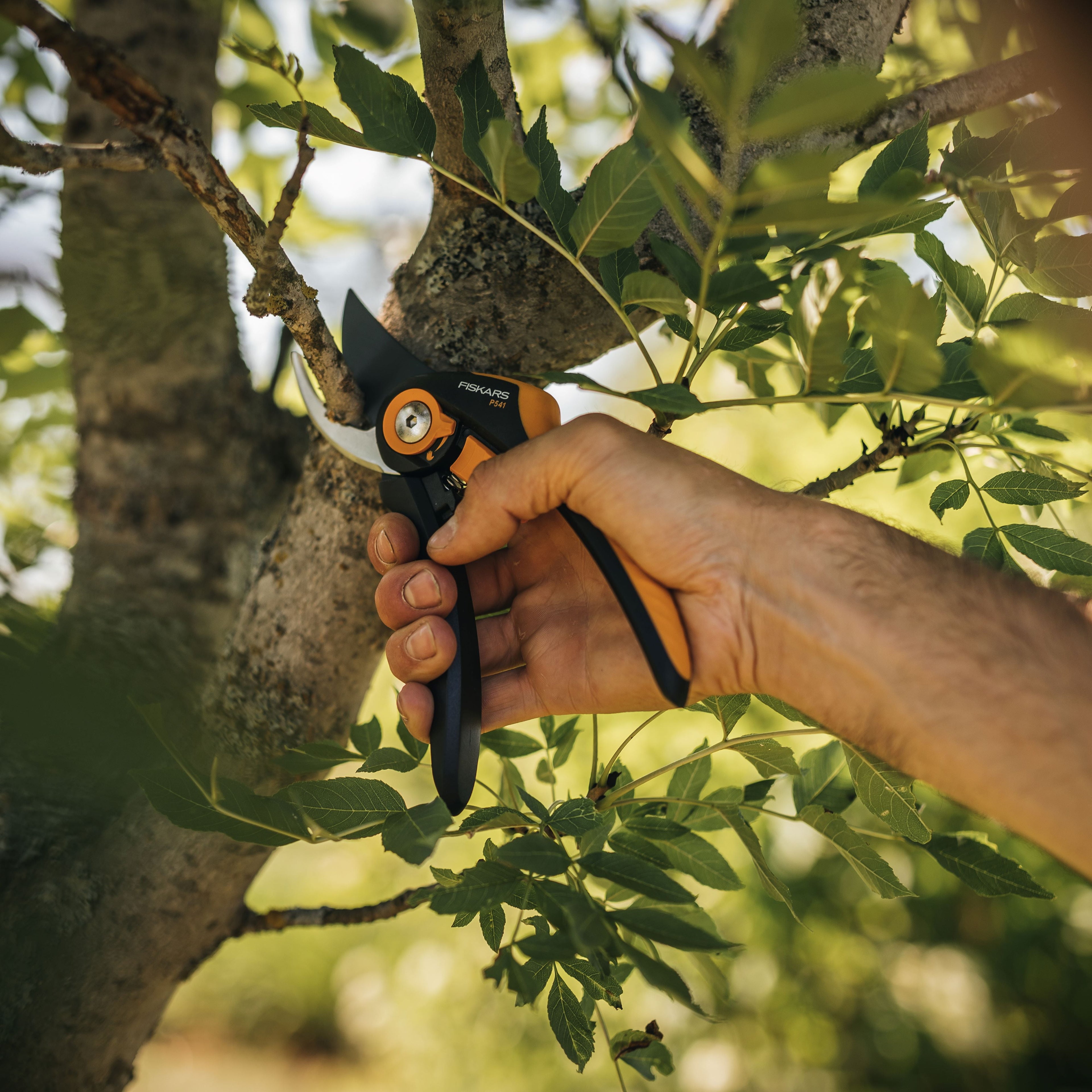 Fiskars 8" Smart Fit Pruner, Bypass Pruner, 5/8" Cut Capacity, Orange and Black - Image 5