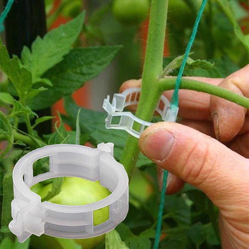 Garden Clips Tomato Clips s/Cects s/Twine/Vines Trellis/Cages Vine Vegetable Fastening Clip Grafting Tools Make Grow ...