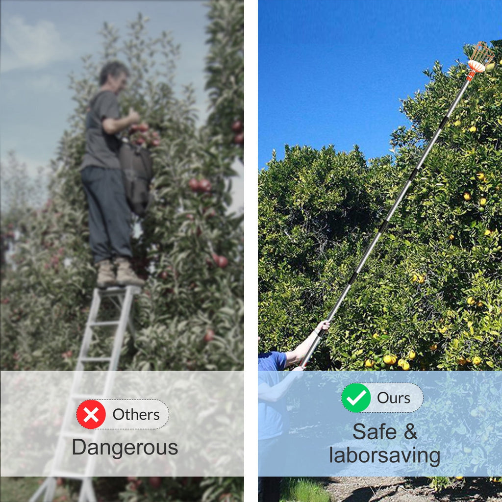 Walensee 8FT Fruit Picker, Adjustable Fruits Picker Tool - Image 3