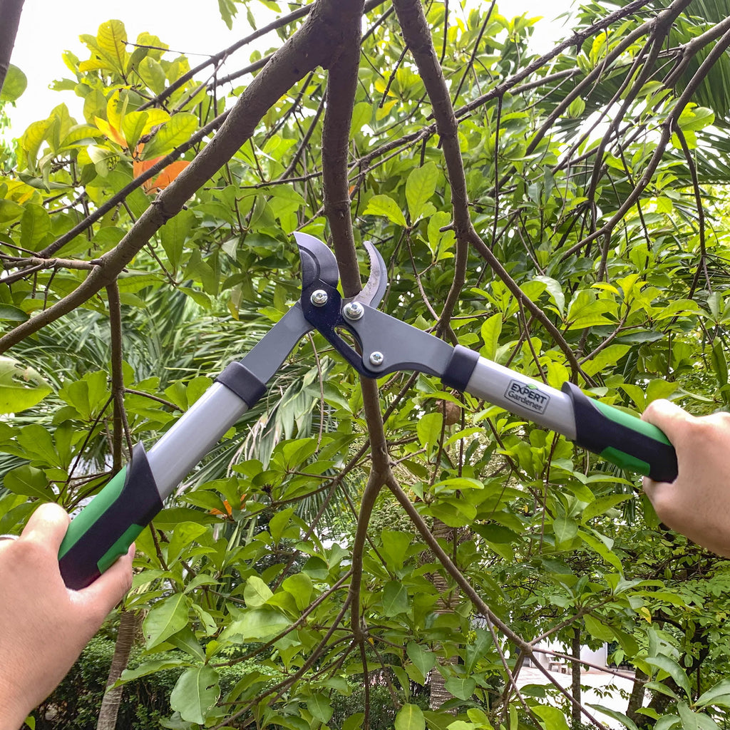 15-Inch Lopper, Lightweight and Durable with Ergonomic Grips - Image 6