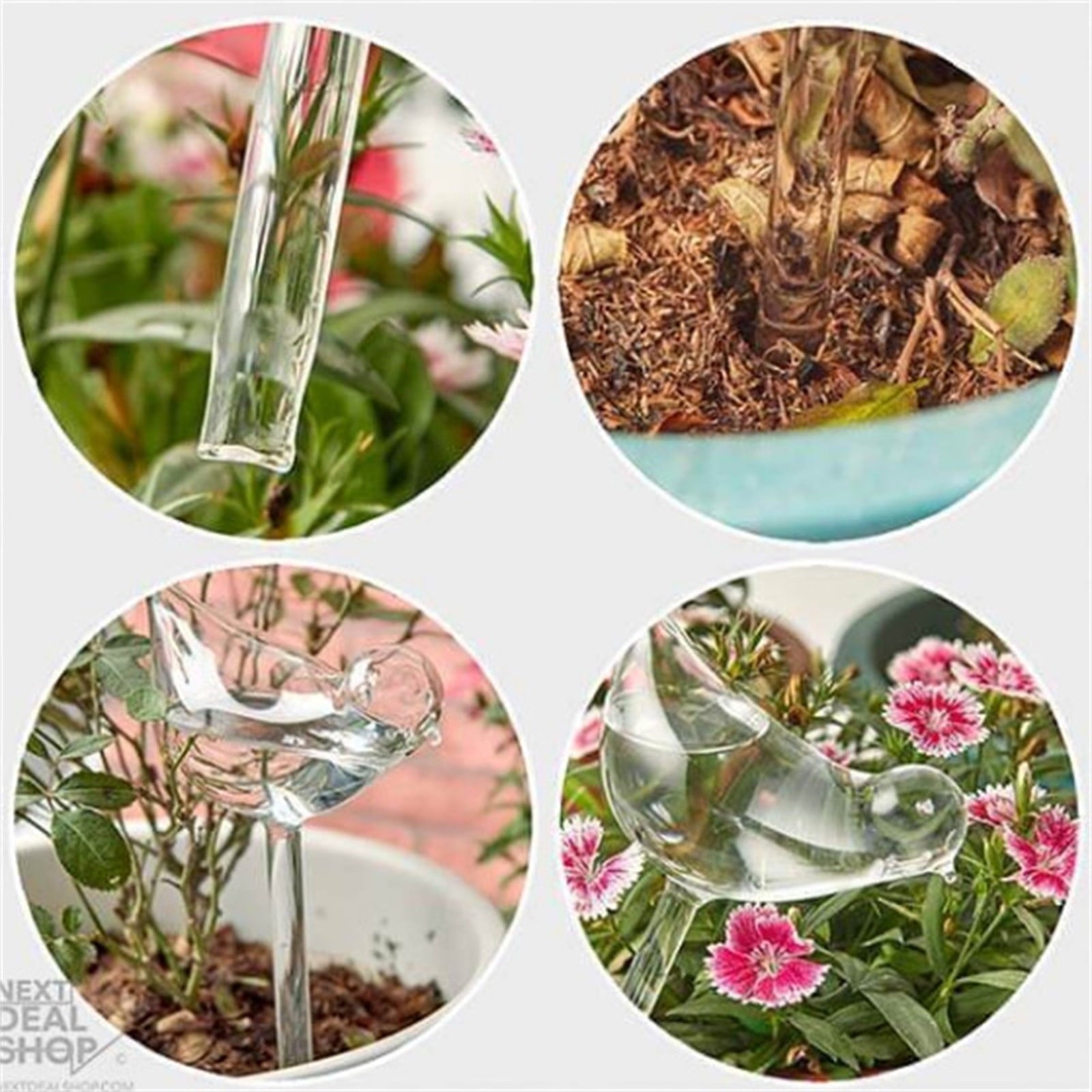 Self Watering Plant Glass Bulbs Bird Shaped Watering Can for Indoor Outdoor Plants Easy Use Lightweight Transparent G... - Image 5