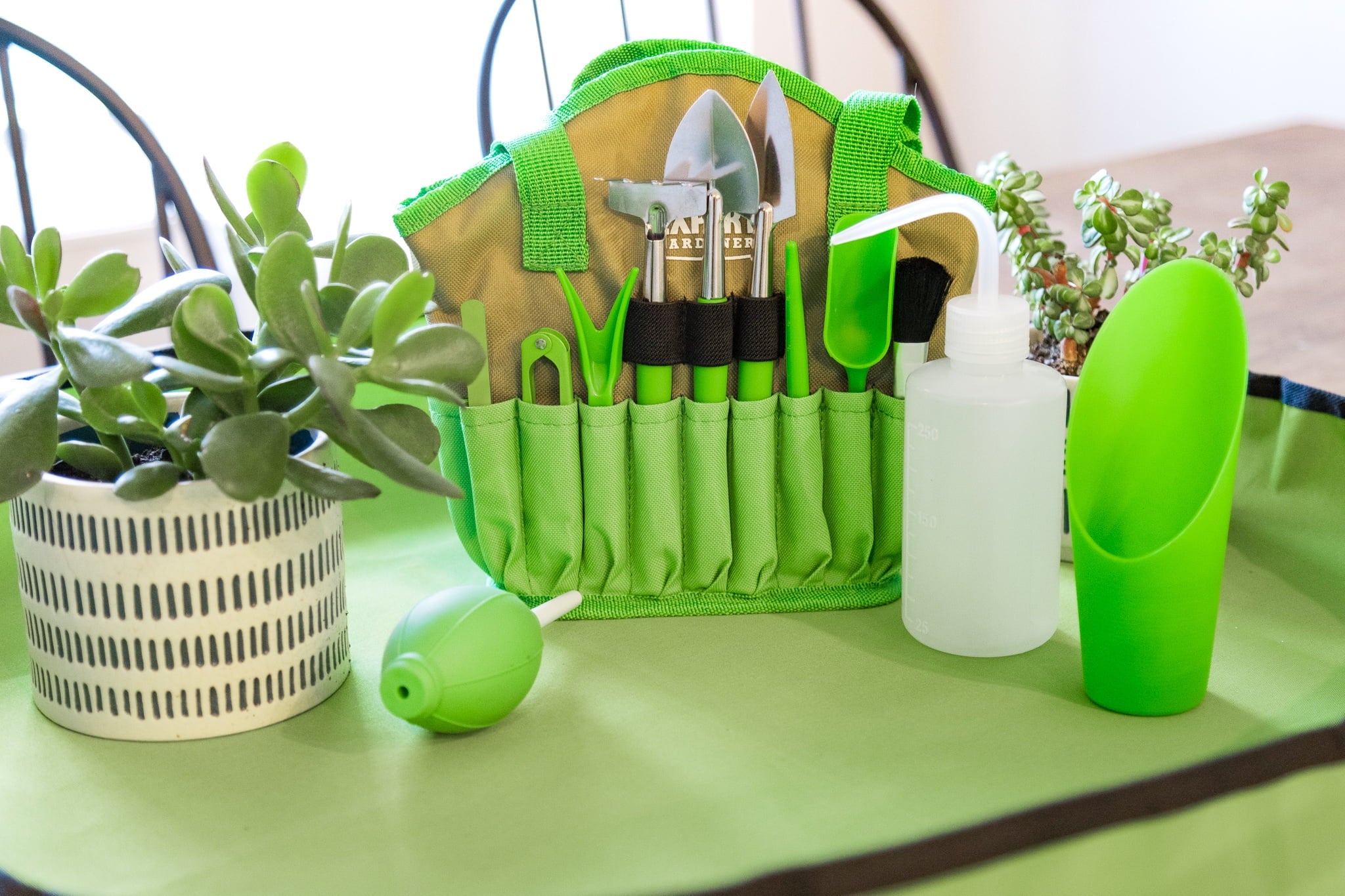 Expert Gardener Indoor Gardening Stainless Steel Tool Set, 14 Pieces, Green - Image 4