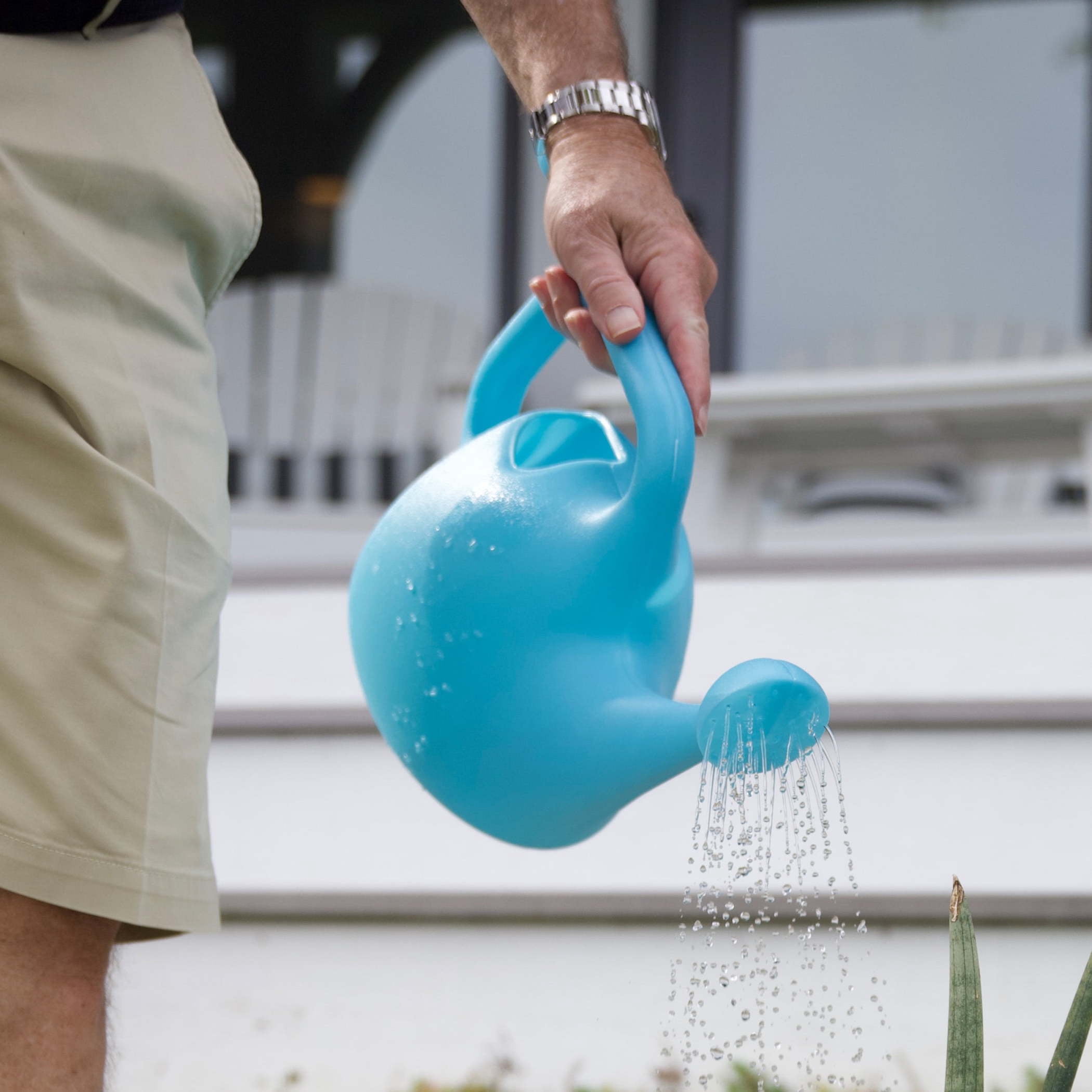 Translucent Plastic Watering Can: 1 Gallon, Indoor/Outdoor with Loop Handle, Bluebet - Image 2