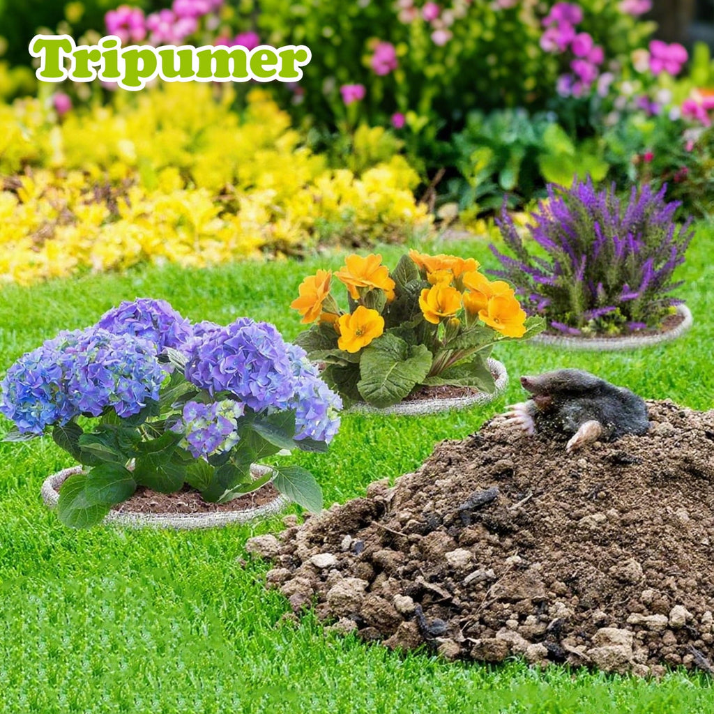 Tripumer 8 Pcs 1 Gallon Stainless Steel Root Guard Baskets  Vole Gopher Plant Protectors for Spring Planting Berries Vegetables - Image 3
