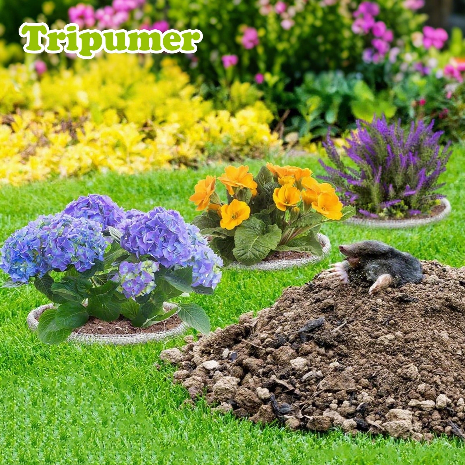 Tripumer 8 Pcs 1 Gallon Stainless Steel Root Guard Baskets  Vole Gopher Plant Protectors for Spring Planting Berries Vegetables - Image 3