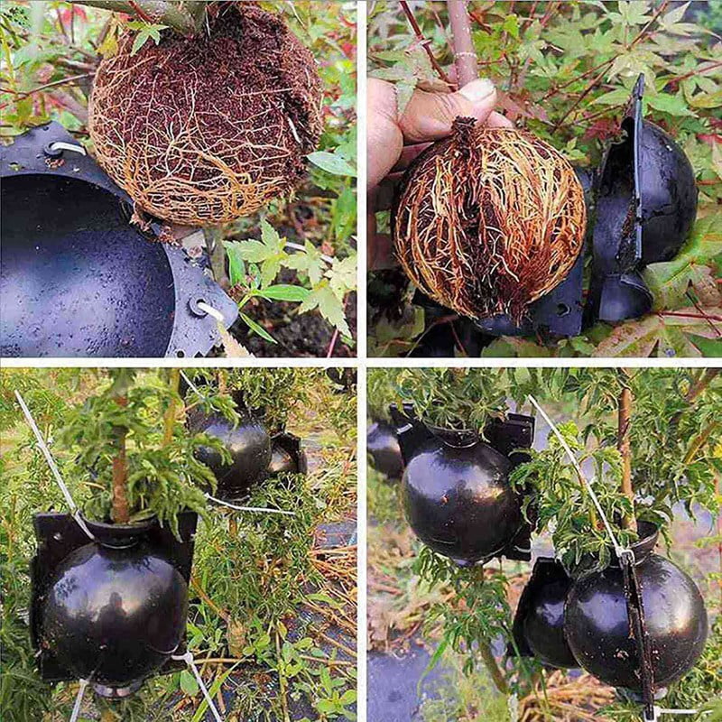 20Pcs Reusable High Pressure  Ball Plant Rooting Growing Box for Plants Garden Tool Planting S - Image 6