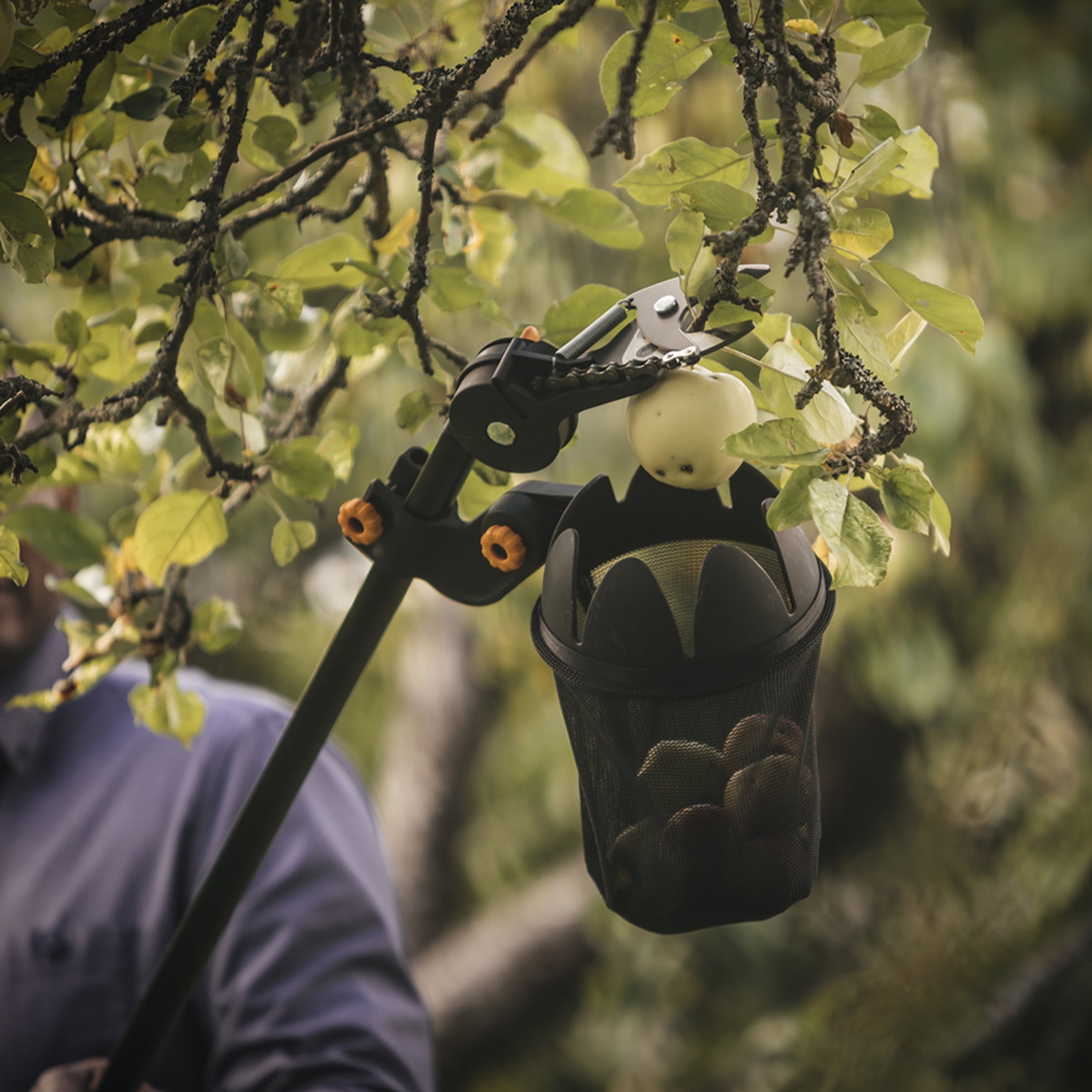 Fruit Picker Basket - Image 4