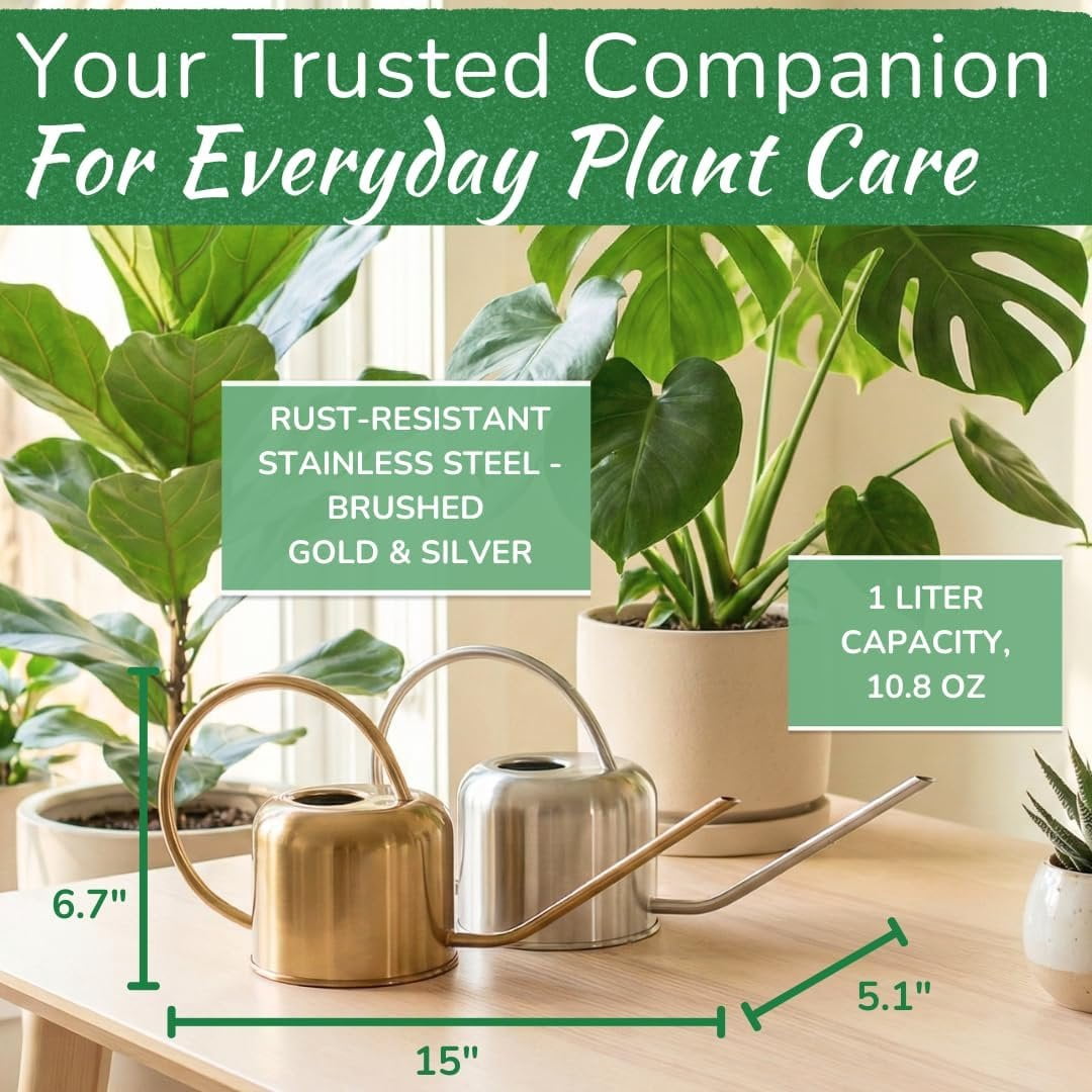 Stainless Steel Watering Can for Houseplants 1L Capacity for Indoor/Outdoor Plants in Brushed Silver - Image 2