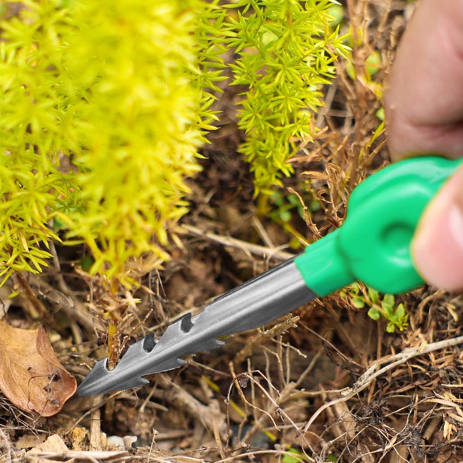 Gardening Tweezers, Lightweight Portable Planting Tool, for Succulents and Bonsai Precise Weed Removal and Home Garde... - Image 6
