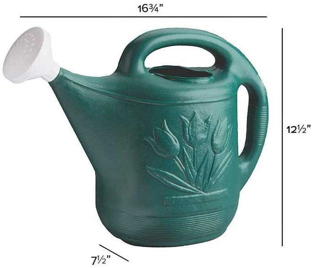 Novelty MFG 30301 Watering Can, 2-Gallon, Green - Image 3