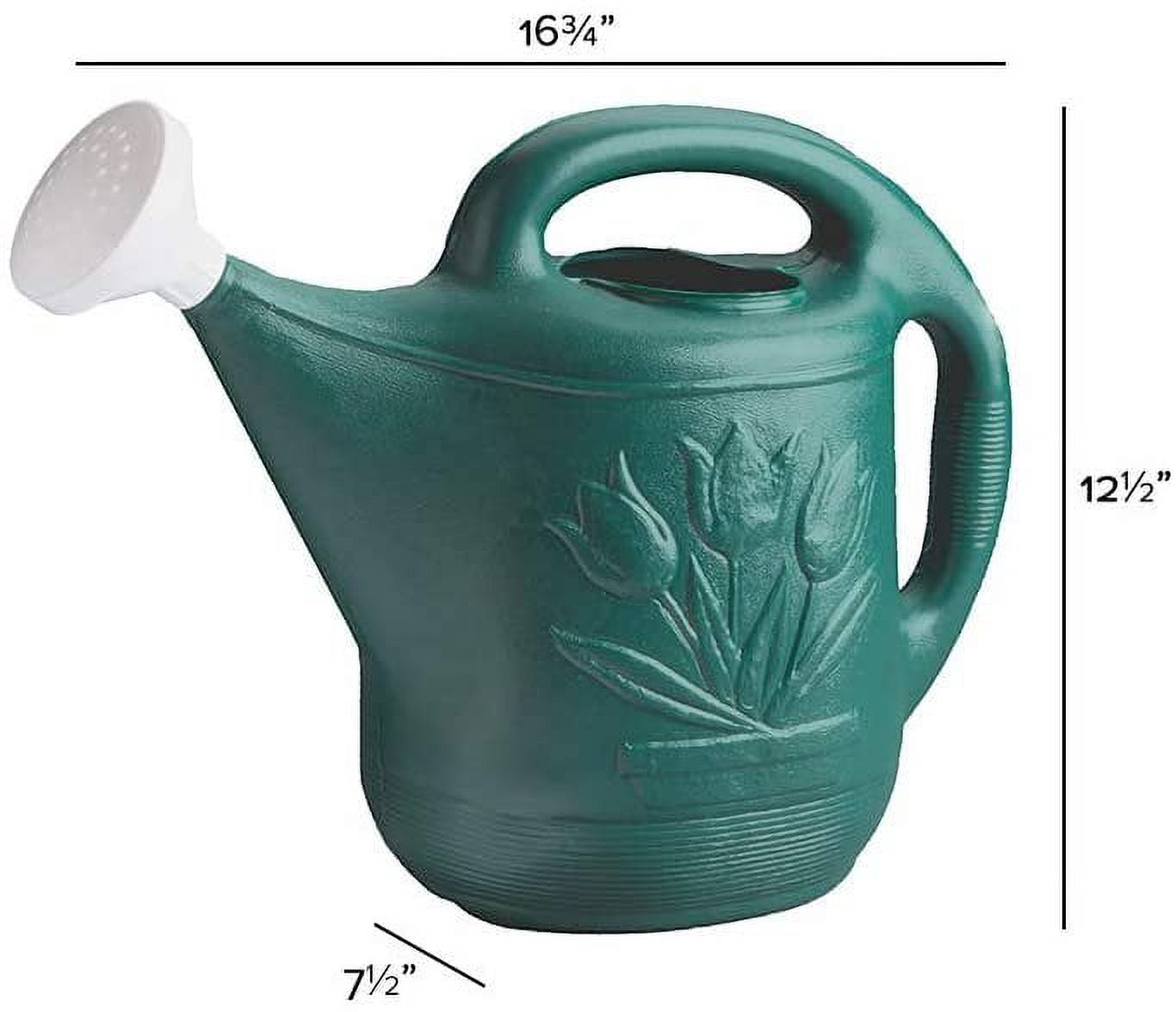 Novelty MFG 30301 Watering Can, 2-Gallon, Green - Image 3