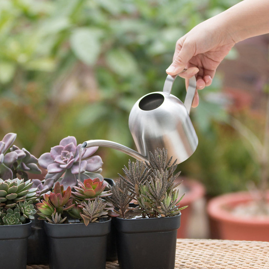 Self Watering Pot Stainless Steel Watering Can - Metal Watering Can With Long Spout To Spillage, Perfect Plant Watering Can For Outdoor And - Image 5