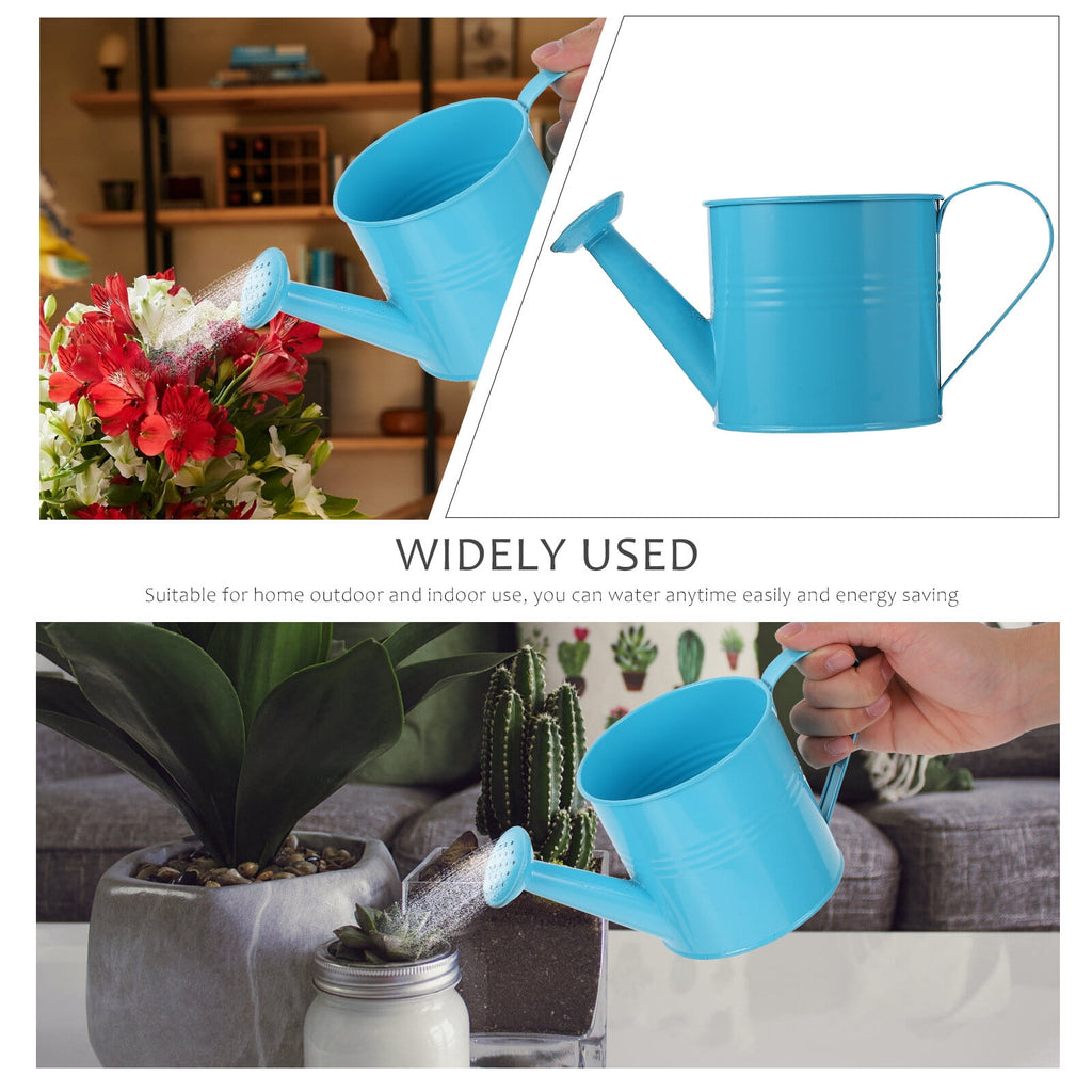 Horticultural Watering Can for Home Gardening, Metal Watering Can 1 Set for Indoor and Outdoor Plants - Image 5
