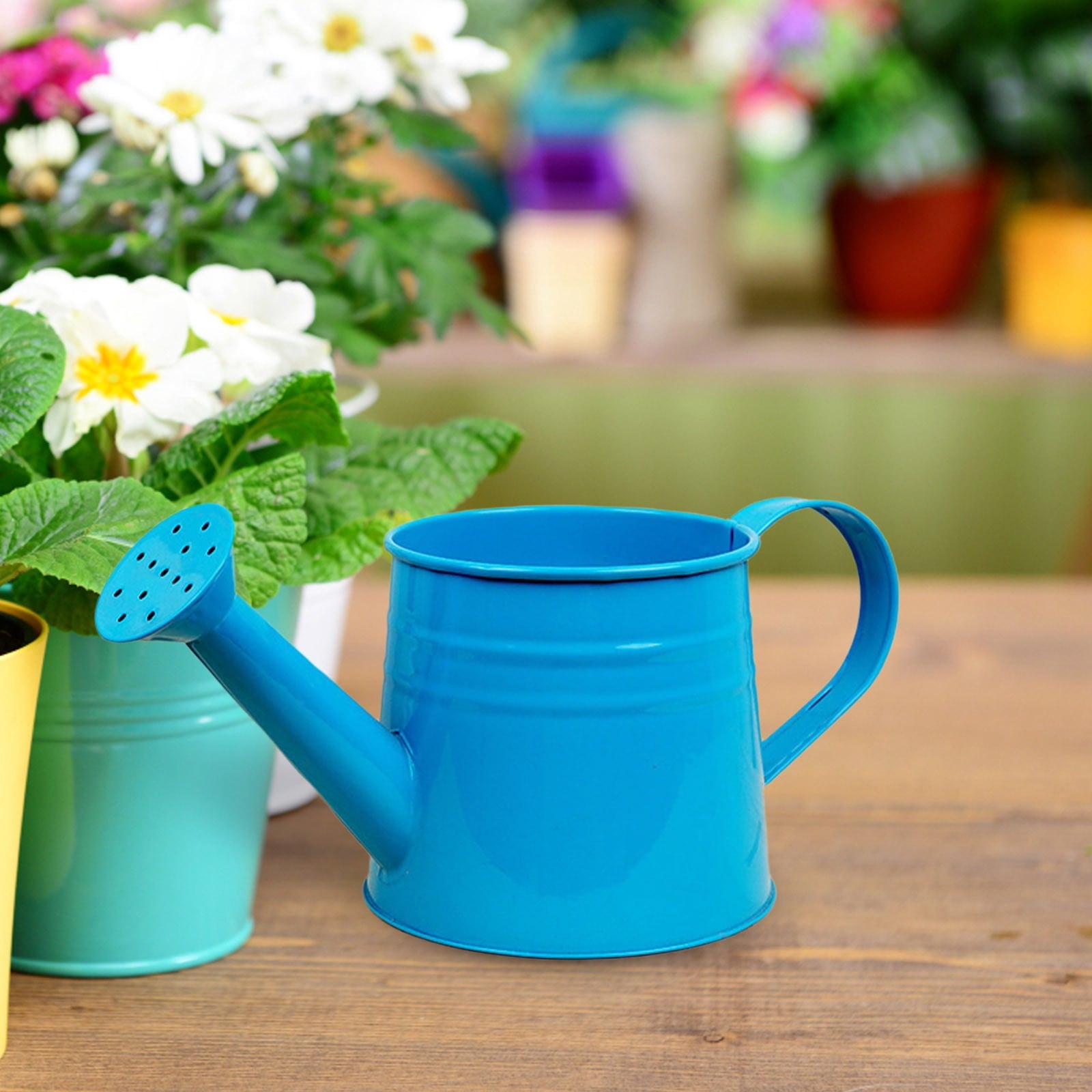 0.17 Gallon Small Watering Can Gardening Tool, Sprinkling Can Metal Flower Garden Watering Can for Indoor and Outdoor... - Image 4