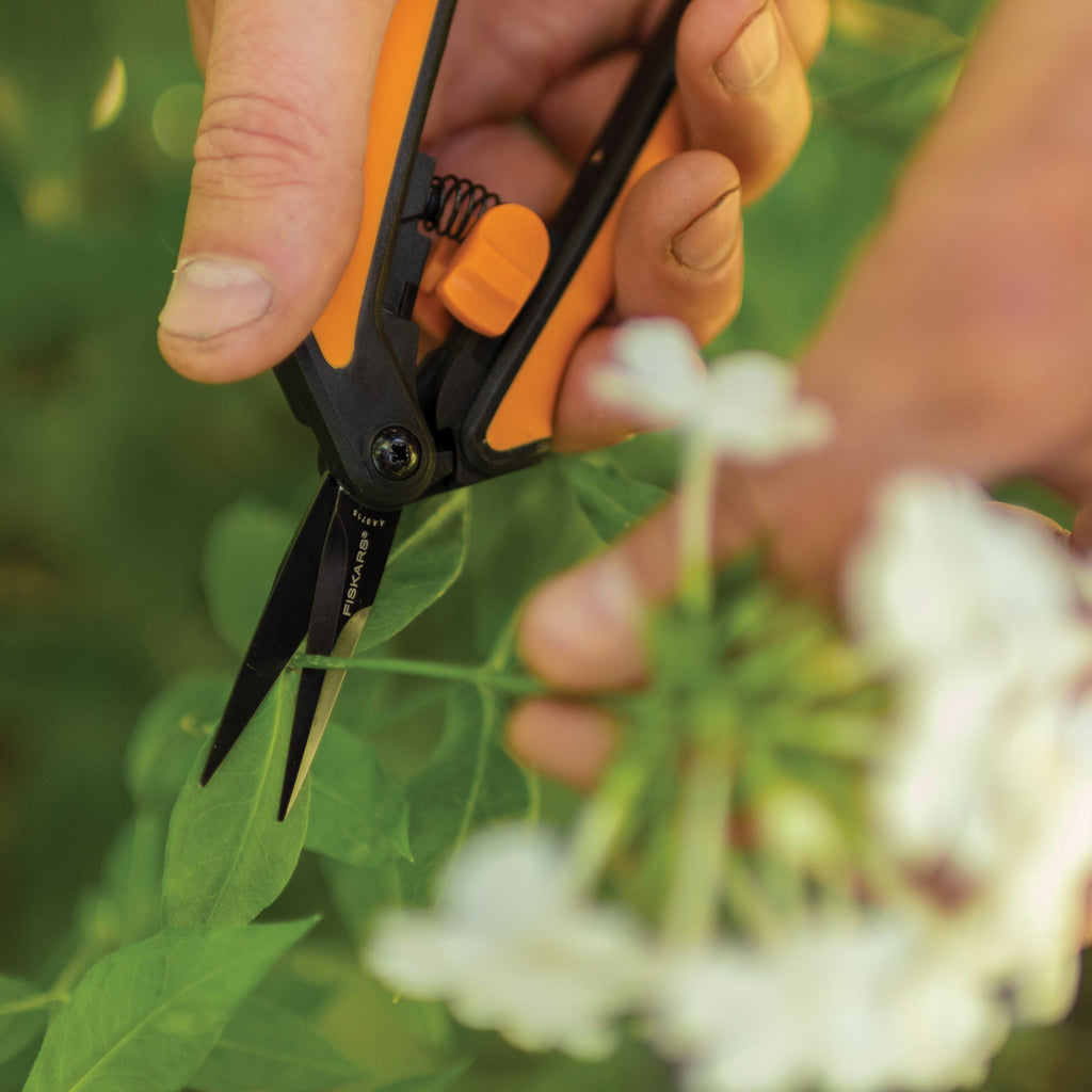 6" Micro-tip Garden Pruning Shears, Orange and Black - Image 5