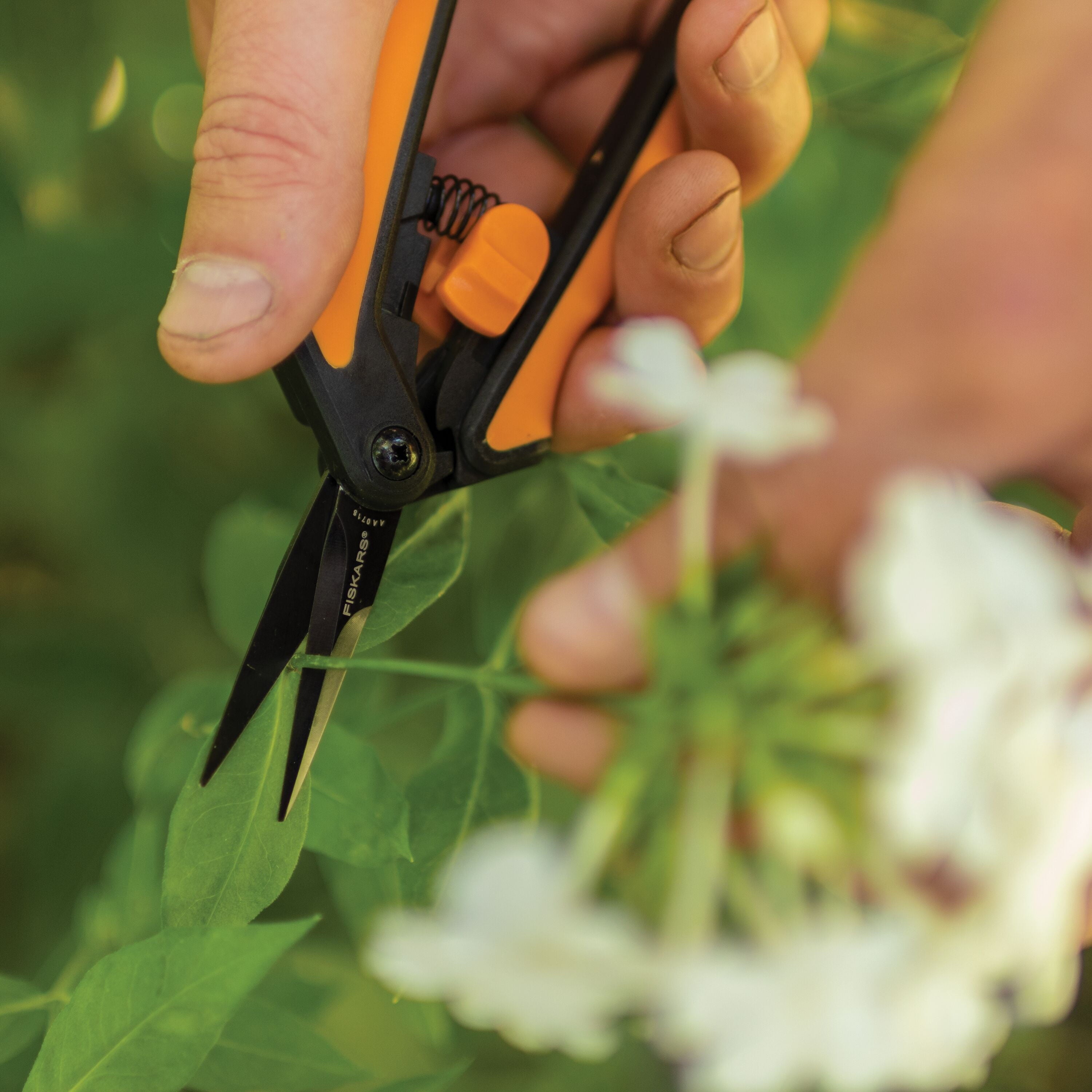 6" Micro-tip Garden Pruning Shears, Orange and Black - Image 5