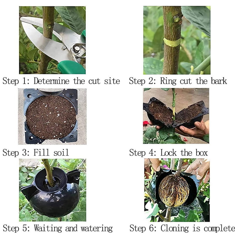 20Pcs Reusable High Pressure  Ball Plant Rooting Growing Box for Plants Garden Tool Planting S - Image 5