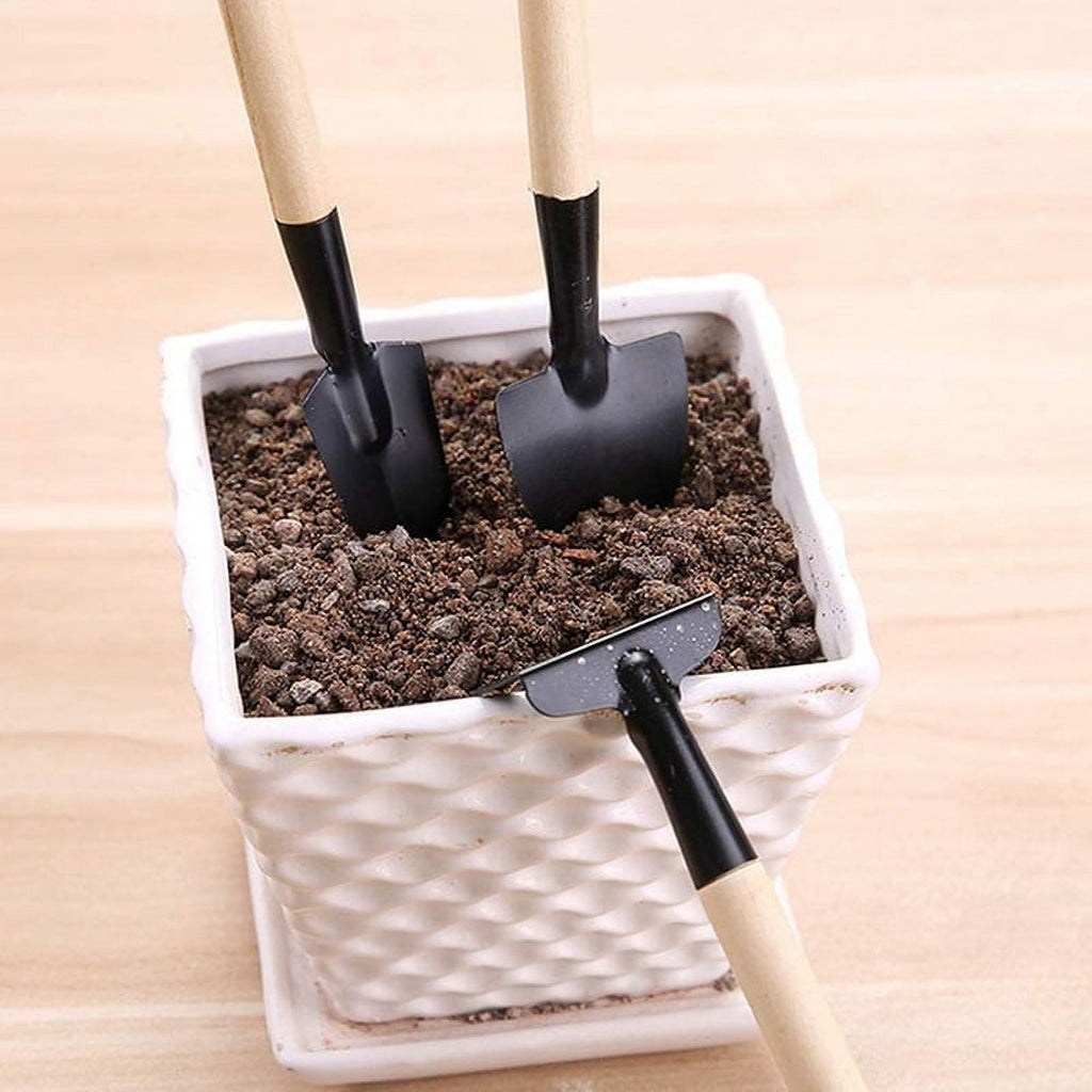 6 Small Gardening Hand Shovel Garden Trowel Transplanter Comfortable Ergonomic Handle Gardening Tool - Image 4