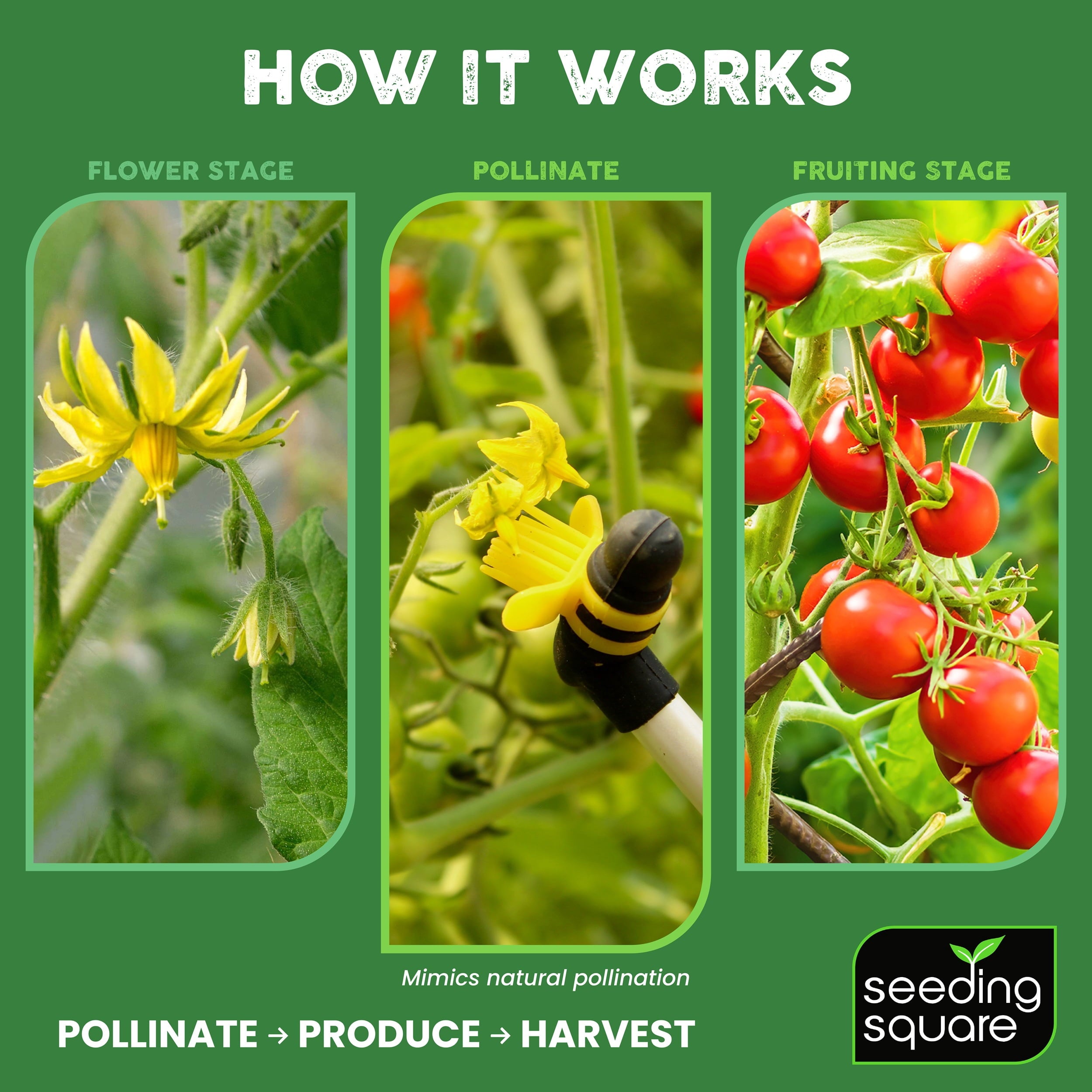 Seeding Square Handheld Pollinator Tool for Vegetable Gardening  Soft Silicone Brush, Manual Gardening Tool for Indoor and Outdoor Use, Boos - Image 3