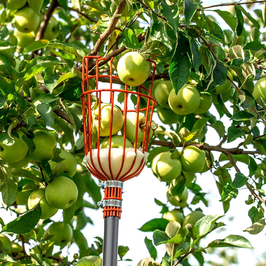 Walensee 8FT Fruit Picker, Adjustable Fruits Picker Tool - Image 6