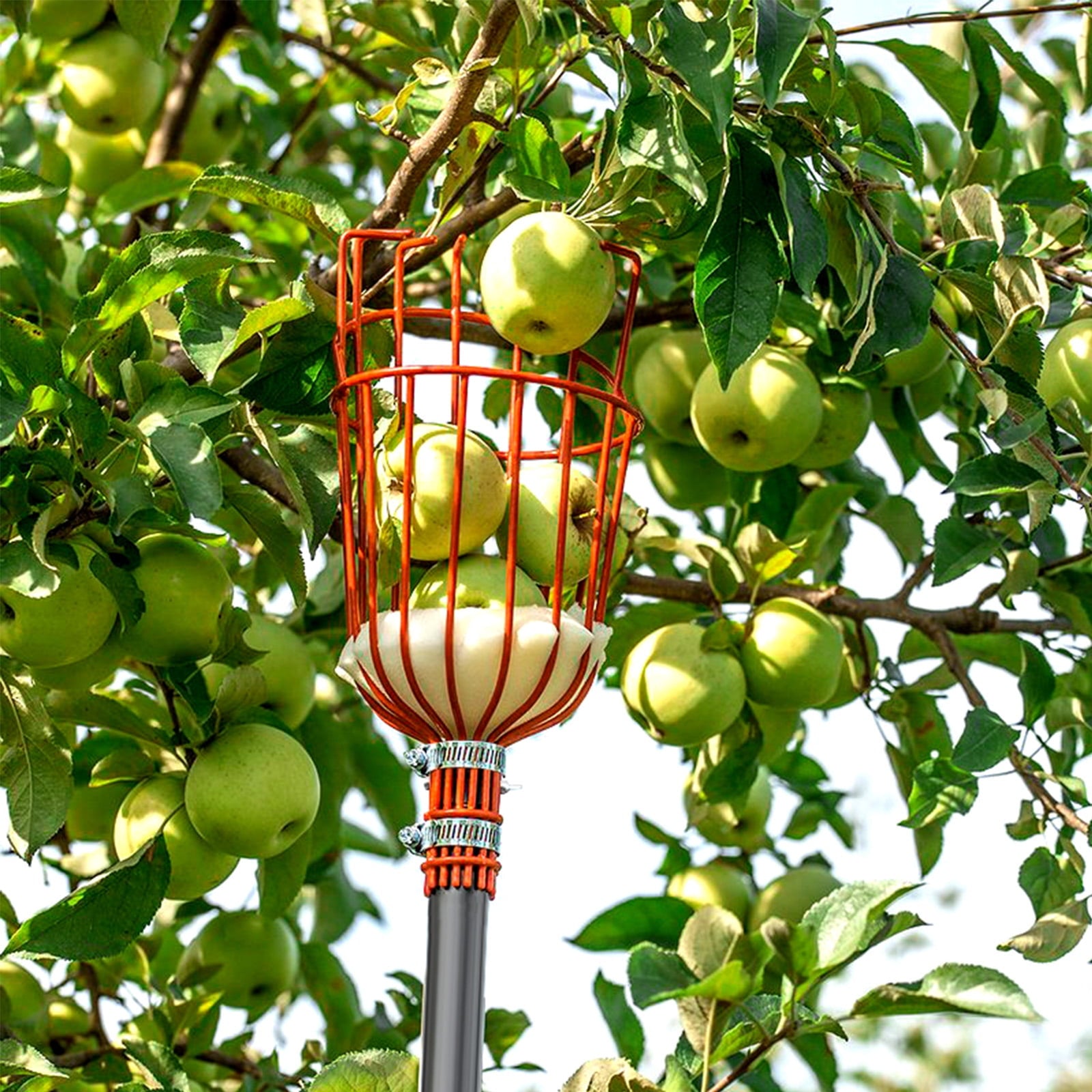 Walensee 8FT Fruit Picker, Adjustable Fruits Picker Tool - Image 6