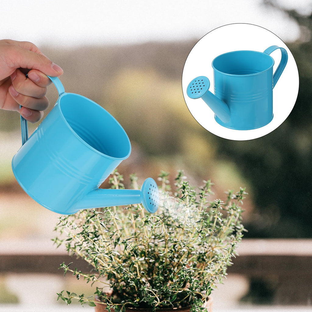 Horticultural Watering Can for Home Gardening, Metal Watering Can 1 Set for Indoor and Outdoor Plants - Image 6
