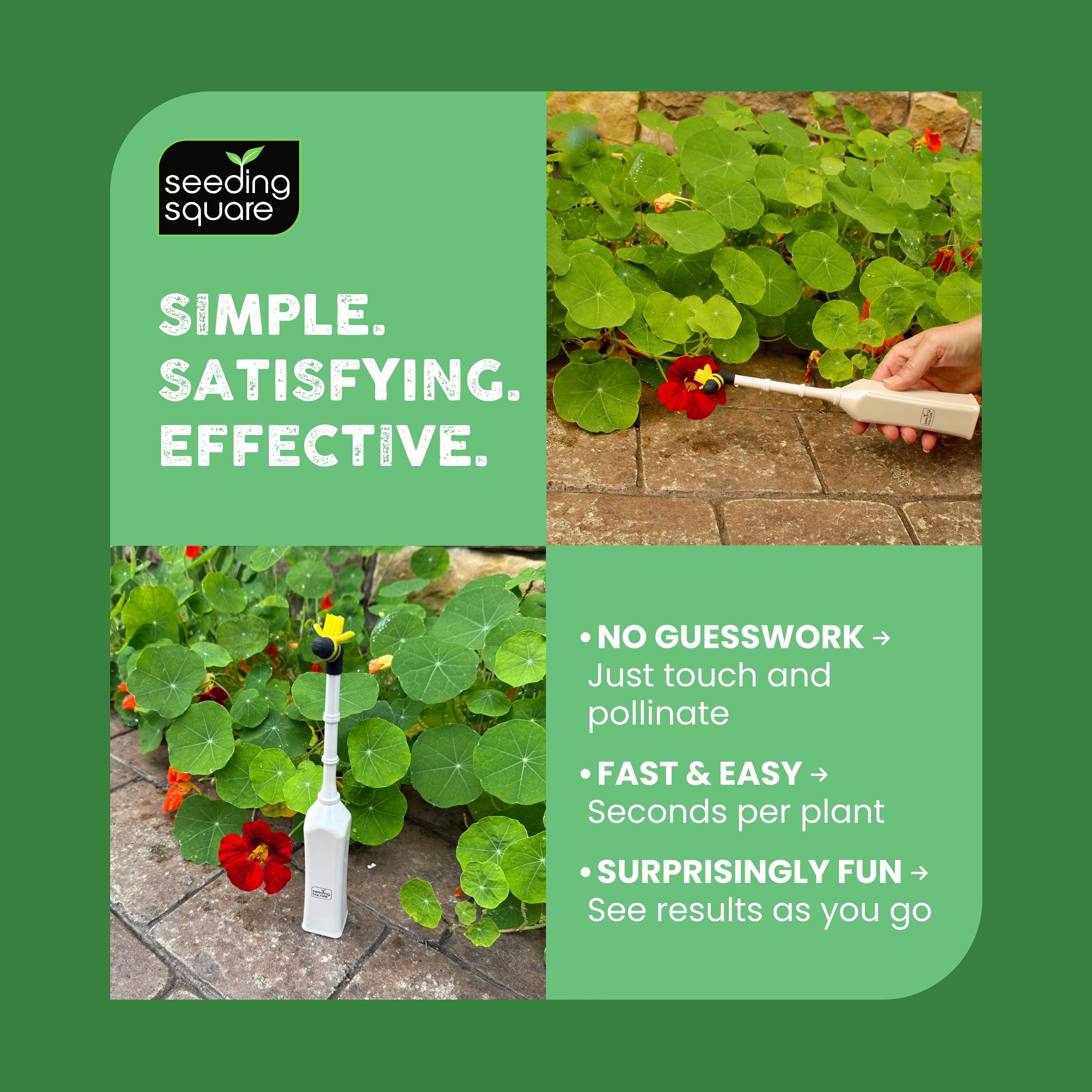 Seeding Square Handheld Pollinator Tool for Vegetable Gardening  Soft Silicone Brush, Manual Gardening Tool for Indoor and Outdoor Use, Boos - Image 5