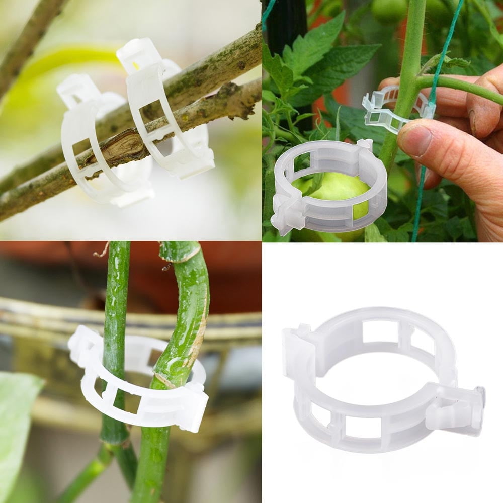 Garden Clips Tomato Clips s/Cects s/Twine/Vines Trellis/Cages Vine Vegetable Fastening Clip Grafting Tools Make Grow ... - Image 2