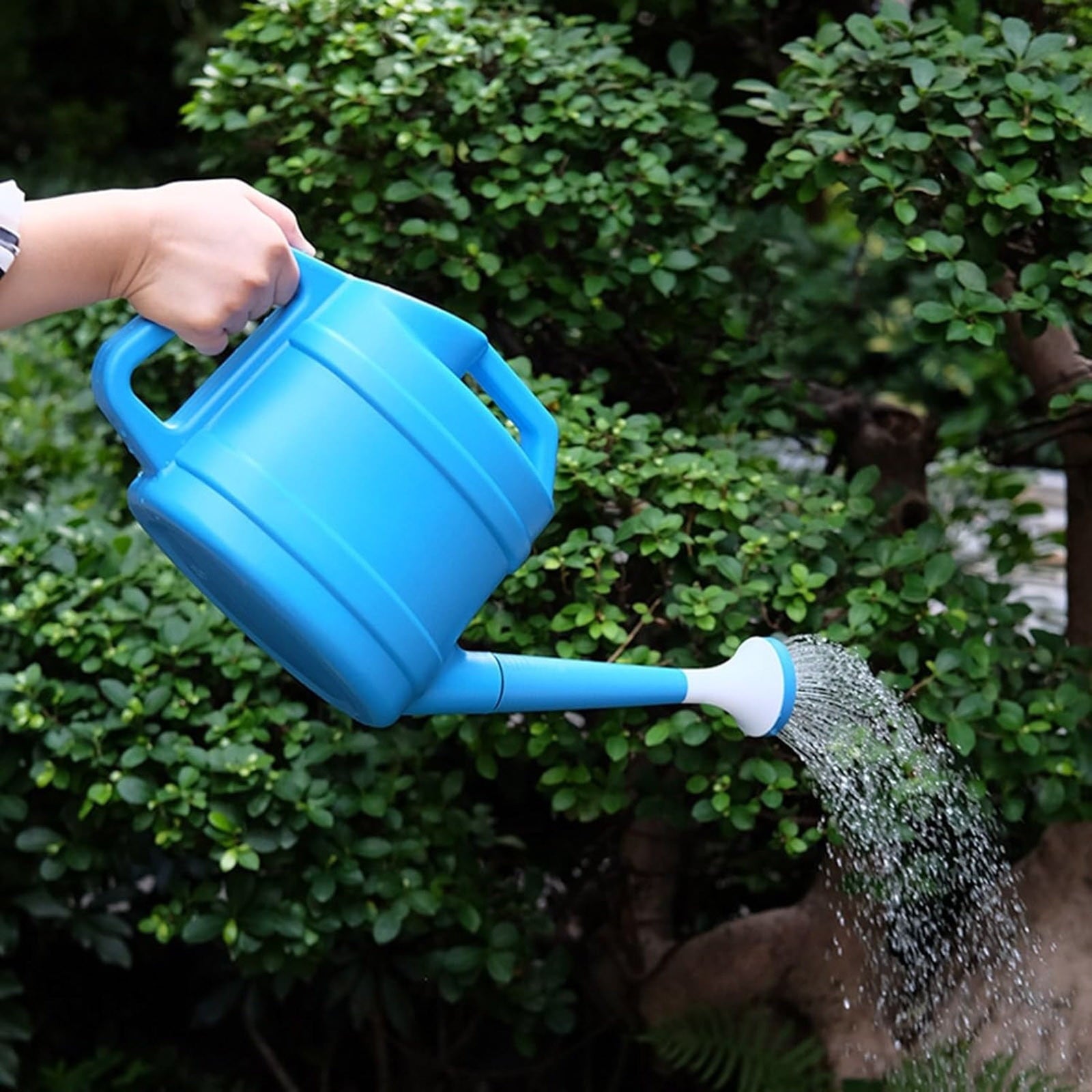 2 Gallon Watering Can, Watering Can for Outdoor with Removable Long Spout, Large Watering Can for Indoor Outdoor Gard... - Image 3