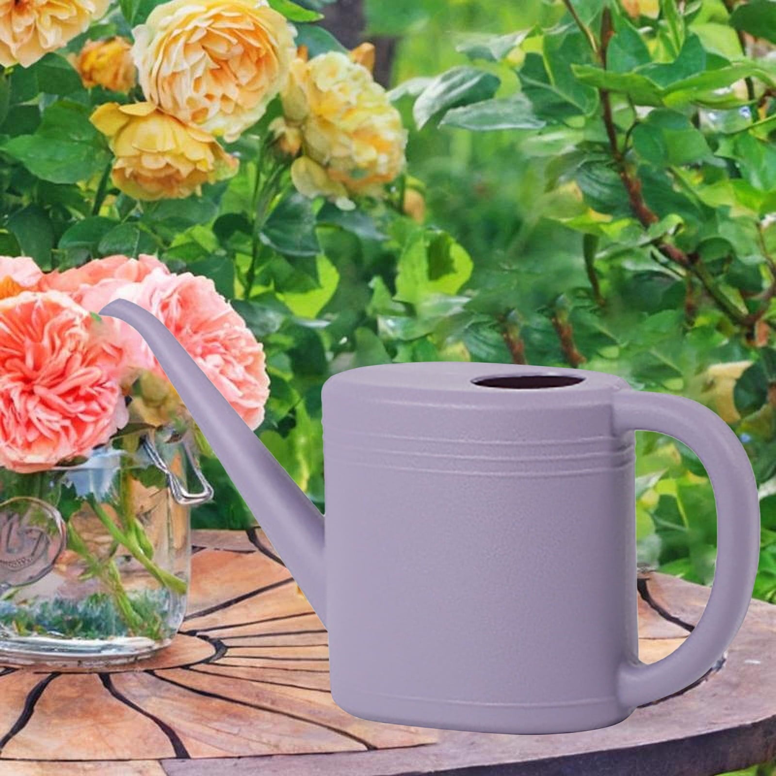 Watering Can, 1 L Watering Can, Farmhouse Sprinkler, Long Spout Sprinkler Head for Garden, Indoor and Outdoor Plants,... - Image 2