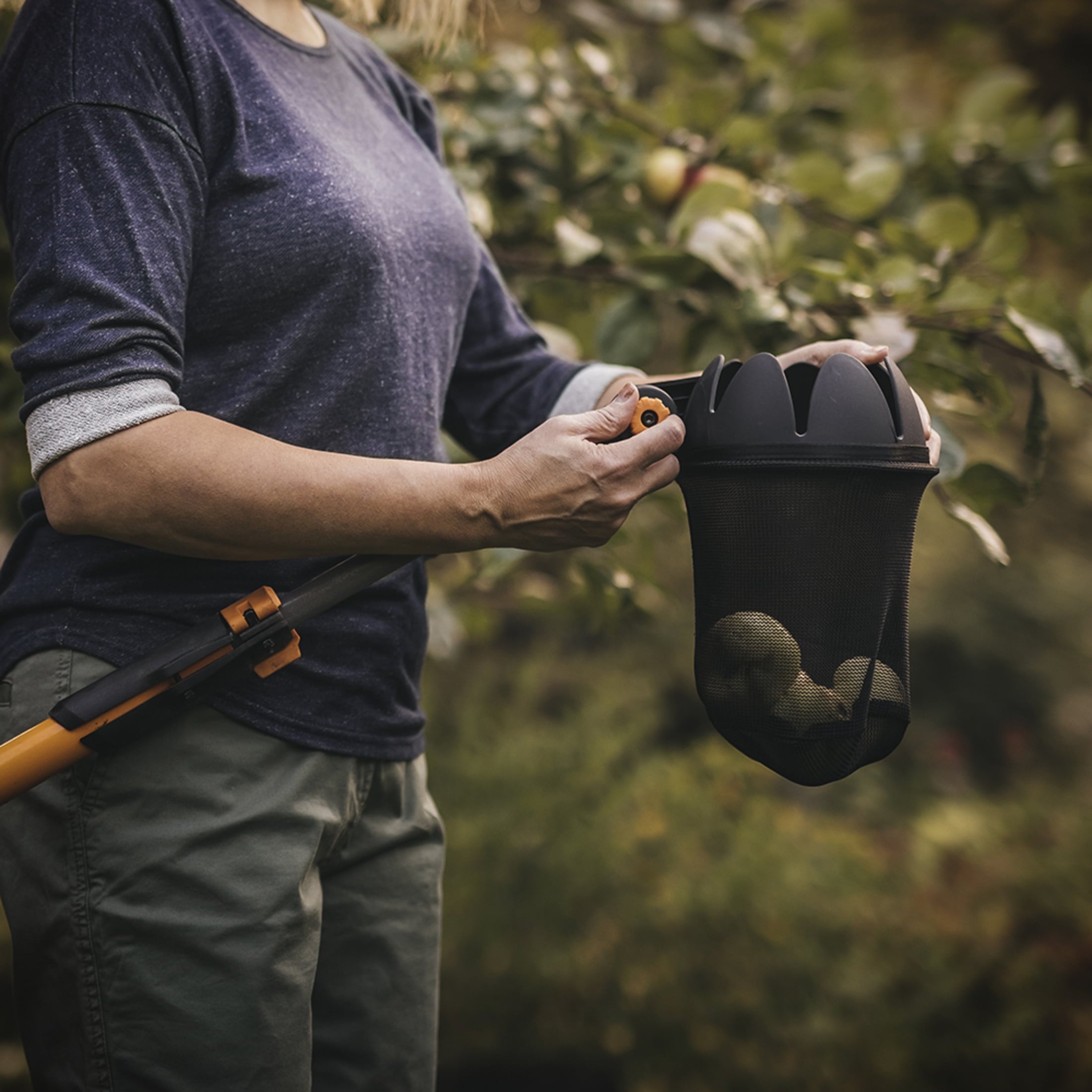 Extendable Fruit Picker Tool, 1 Each, Orange and Black - Image 3