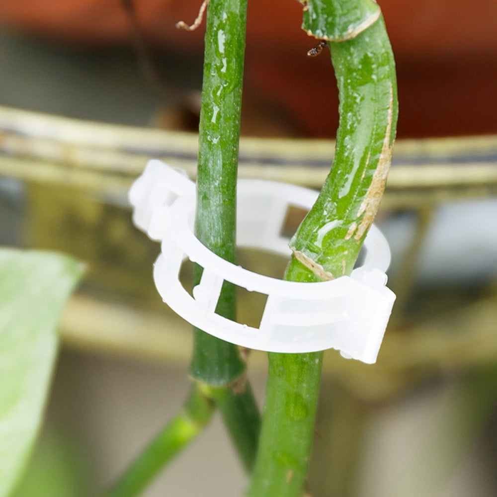Garden Clips Tomato Clips s/Cects s/Twine/Vines Trellis/Cages Vine Vegetable Fastening Clip Grafting Tools Make Grow ... - Image 6