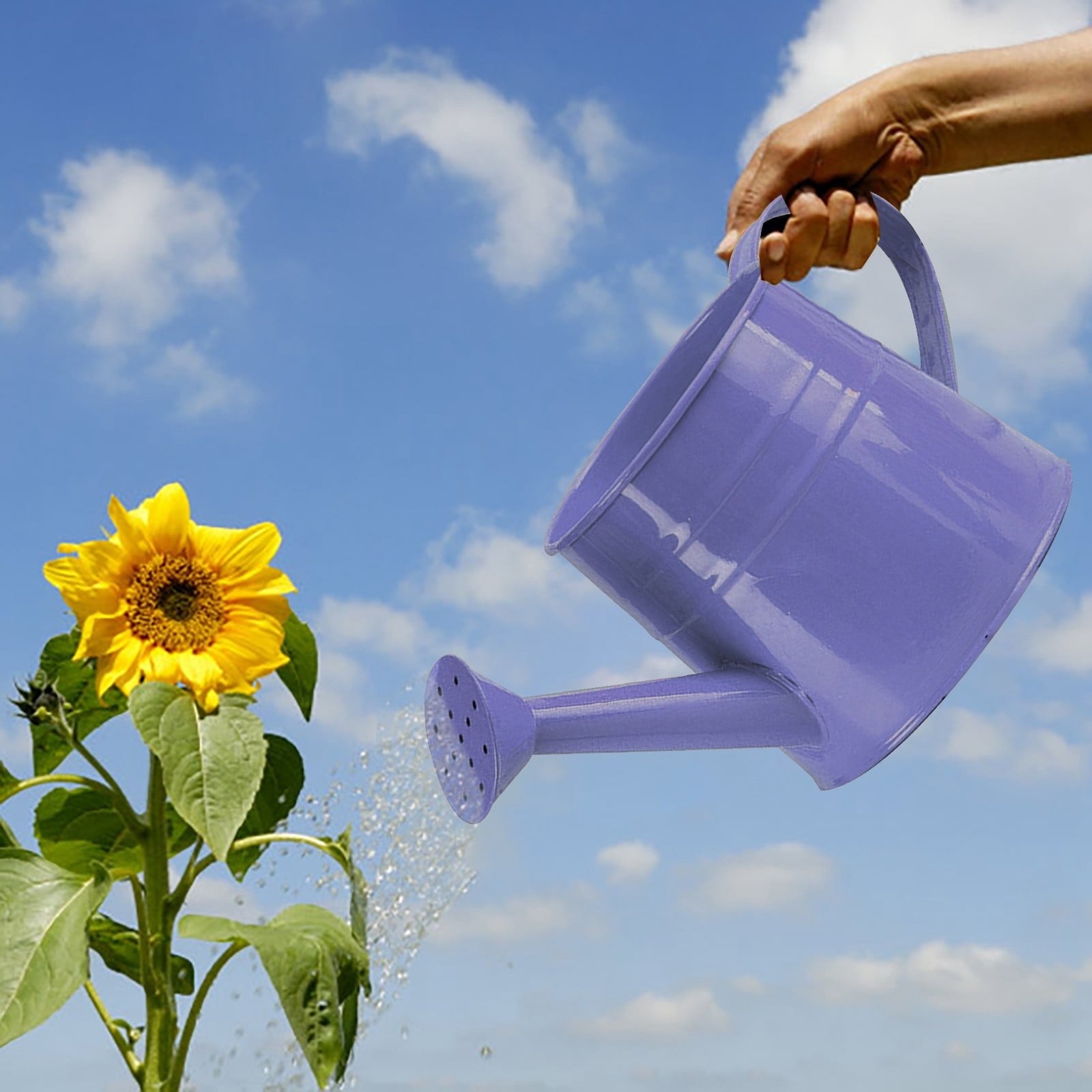 Can Gardening Tool Accessories, Sprinkling Can Can 1L Metal Flower Garden Can for Outdoor Indoor Lawn Garden - Image 4