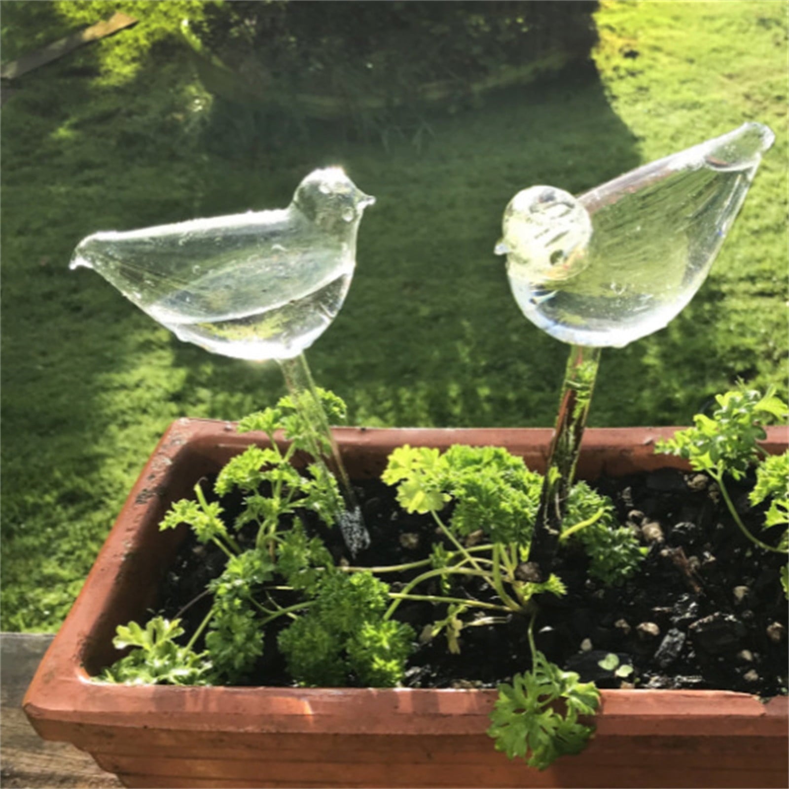 Self Watering Plant Glass Bulbs Bird Shaped Watering Can for Indoor Outdoor Plants Easy Use Lightweight Transparent G... - Image 6
