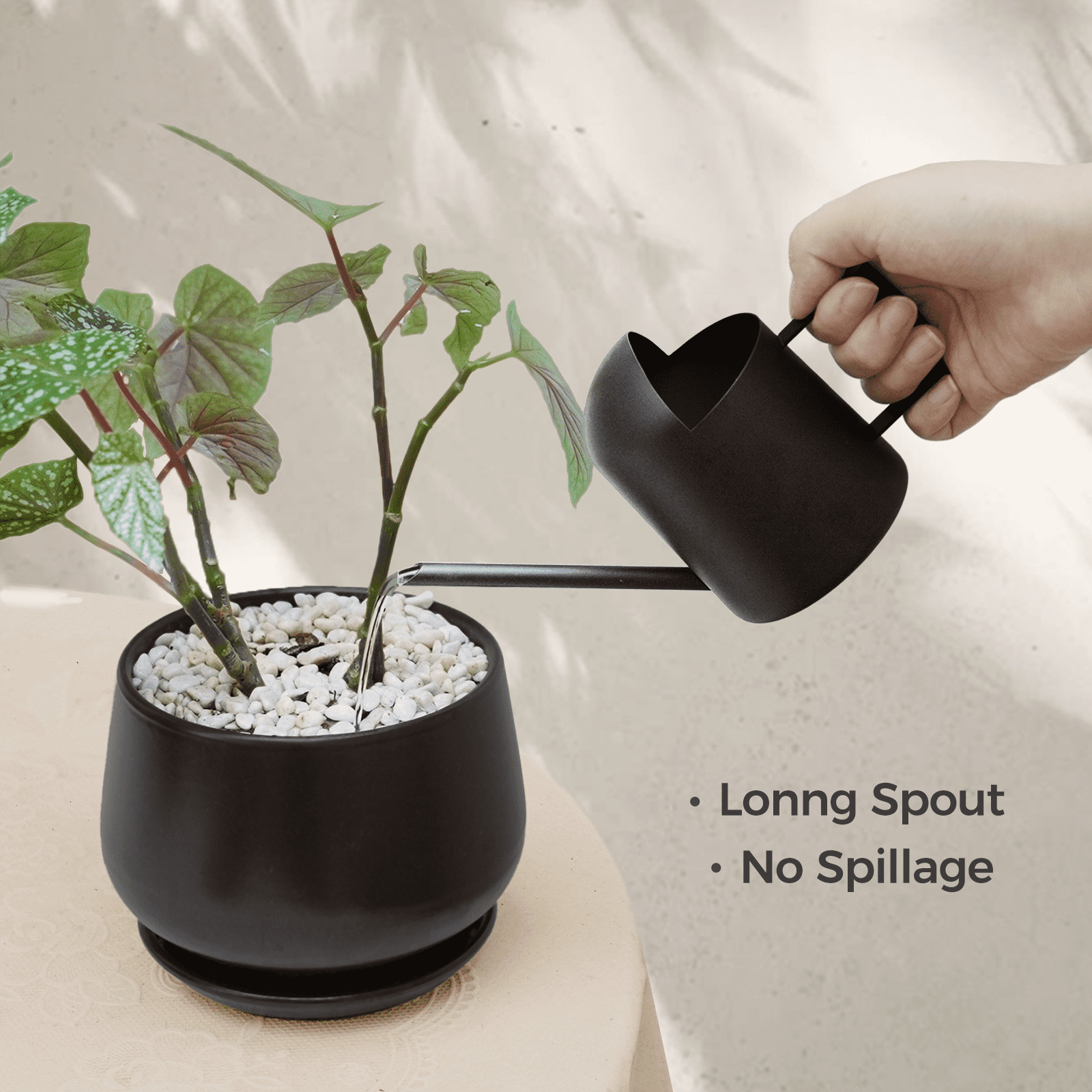 Bamworld Small Watering Can Indoor Outdoor Plant Black Metal Stainless Steel Long Spoutt Flowers Watering Cans for House Garden Plants 10OZ - Image 4