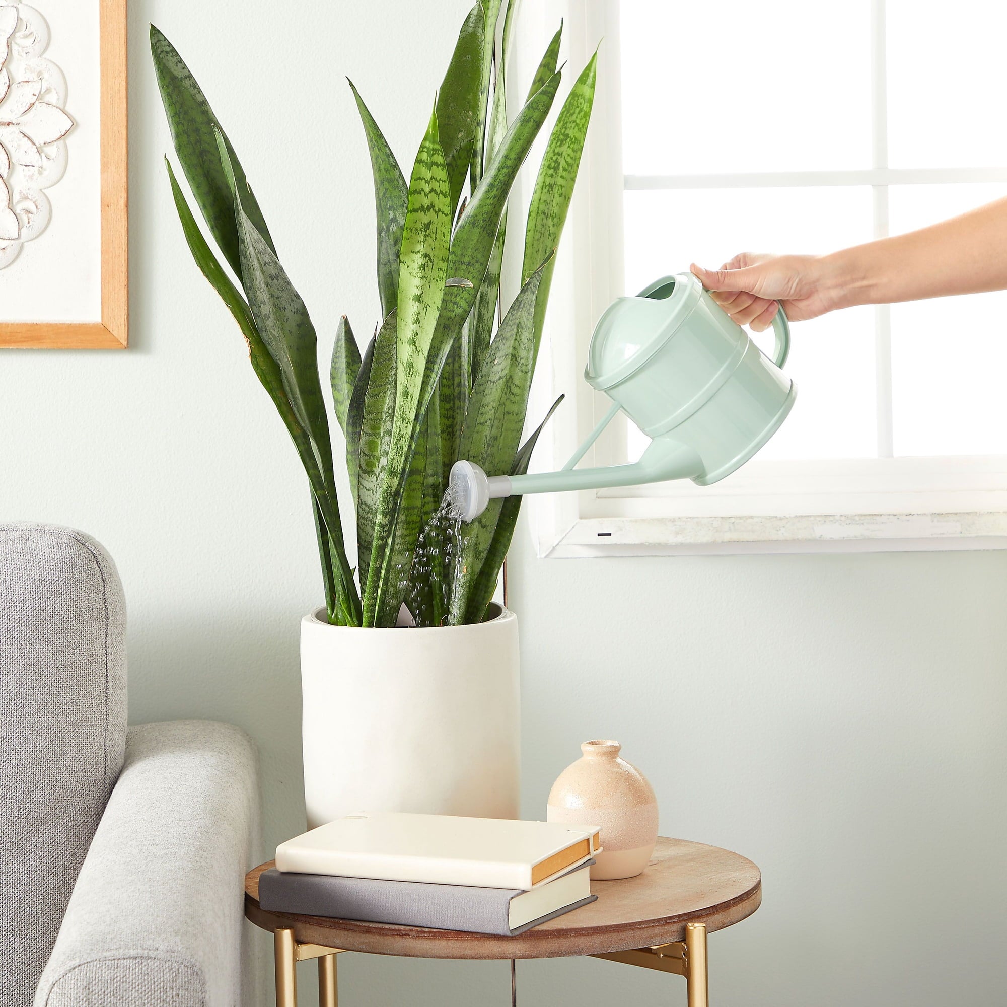 Small Mint Green Plastic Watering Can with Long Spout Sprinkler Head for Garden, Indoor and Outdoor Plants, Flowers (... - Image 3