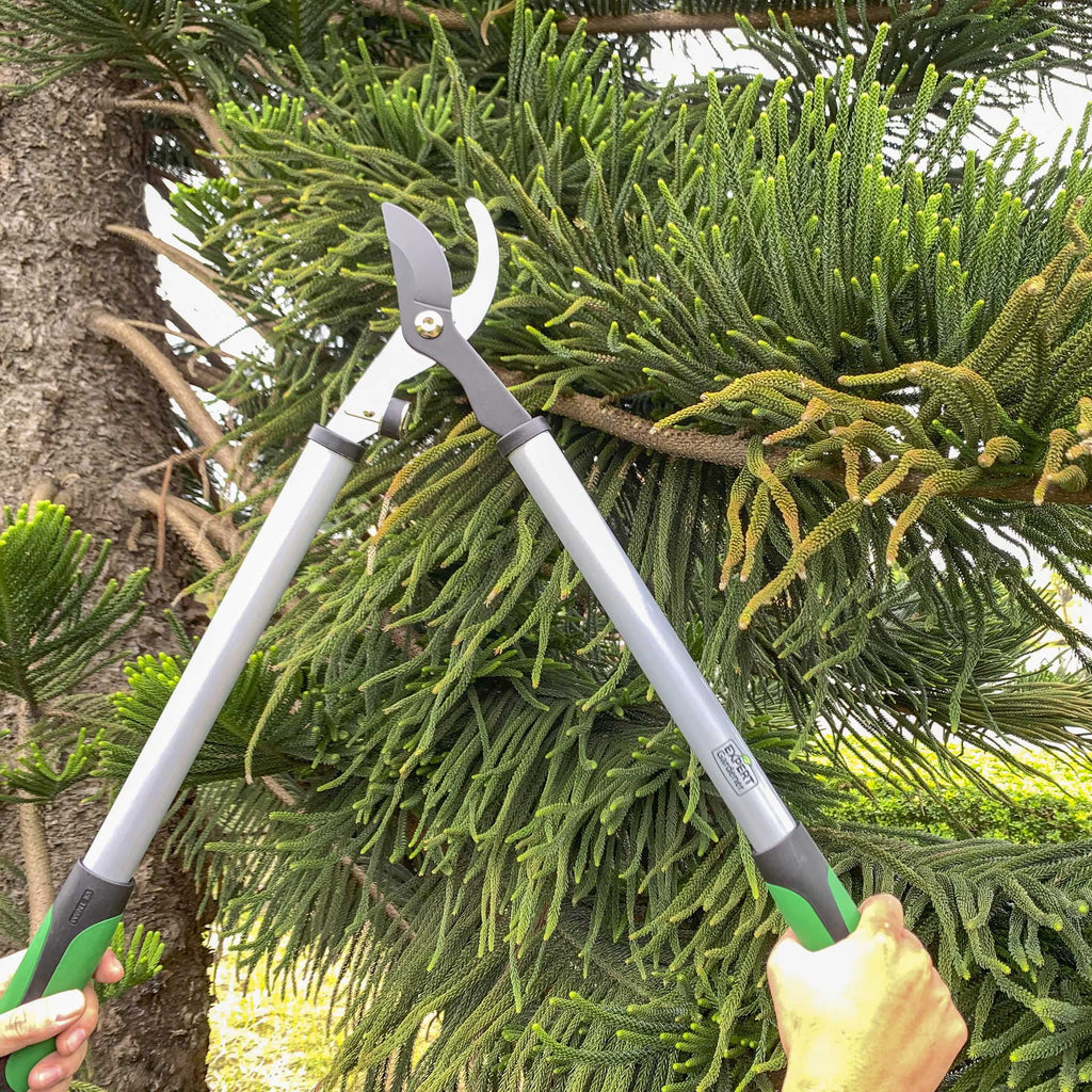 24 inches Steel Bypass Lopper, 1" Cutting Capacity in Green and Black - Image 5