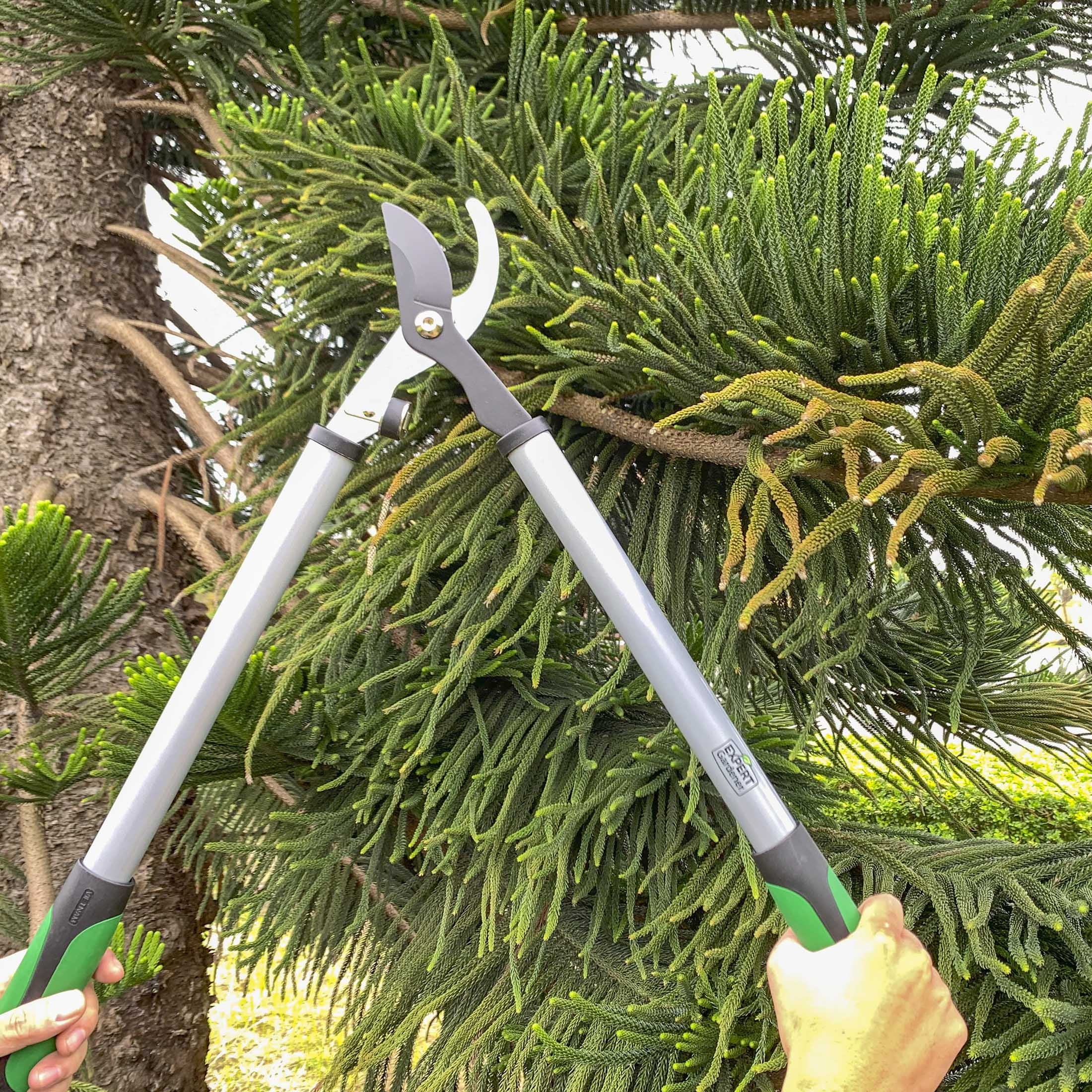24 inches Steel Bypass Lopper, 1" Cutting Capacity in Green and Black - Image 5