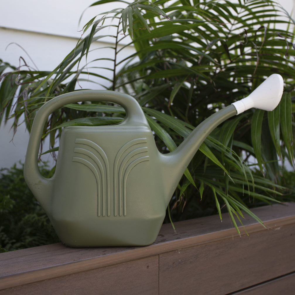 Promo Plastic Watering Can - 2 Gallon Capacity - Living Green - Image 4