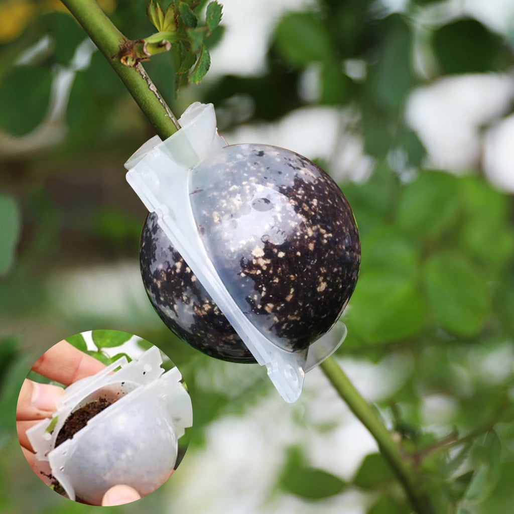 Lingsida 10pcs Air Layering Propagation Kit, Reusable Half Clear Grafting Ball, Plant Air Layering Pods Rooting Ball for Fast Propagation - Image 5