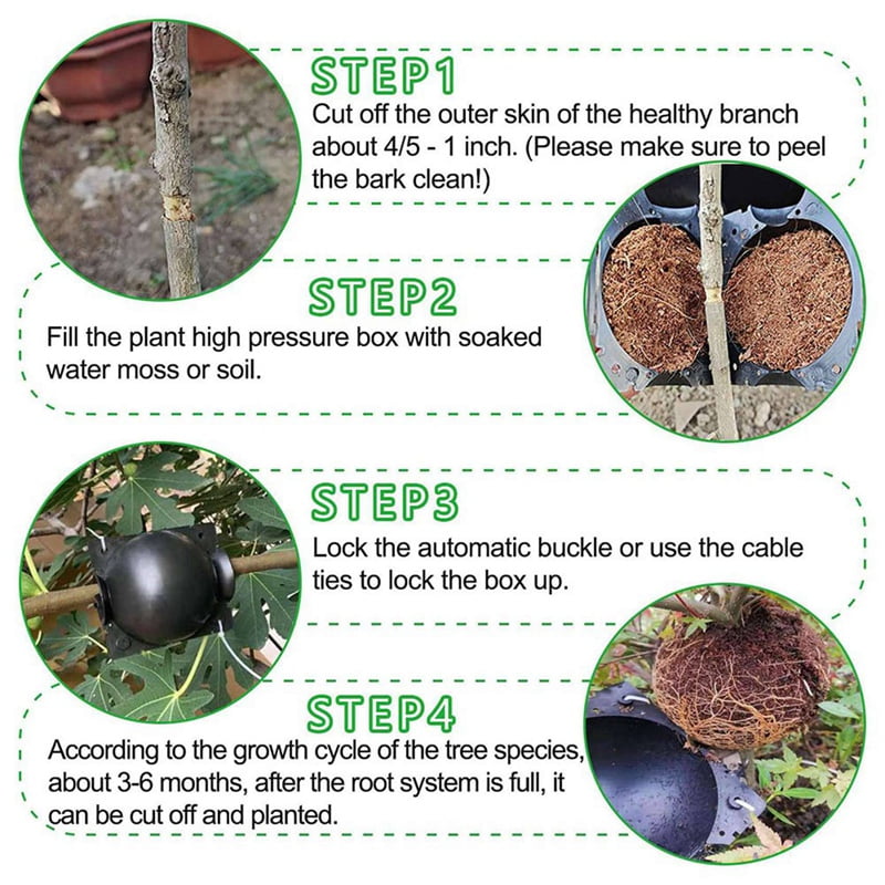20Pcs Reusable High Pressure  Ball Plant Rooting Growing Box for Plants Garden Tool Planting S - Image 3