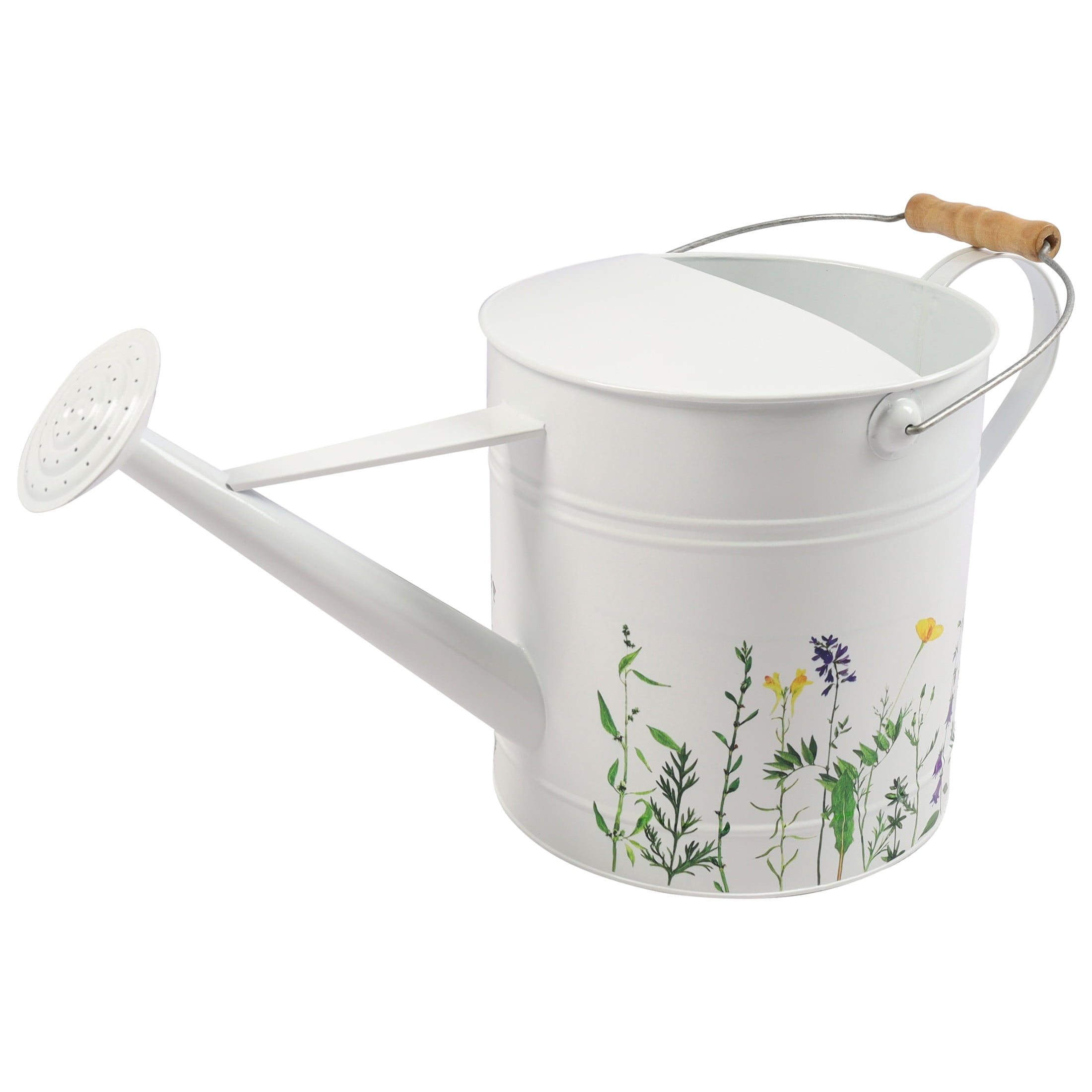 Modern Watering Can for Indoor Plants - Decorative Indoor Watering Can for House Plant Decor - Flower Pots for Garden... - Image 5