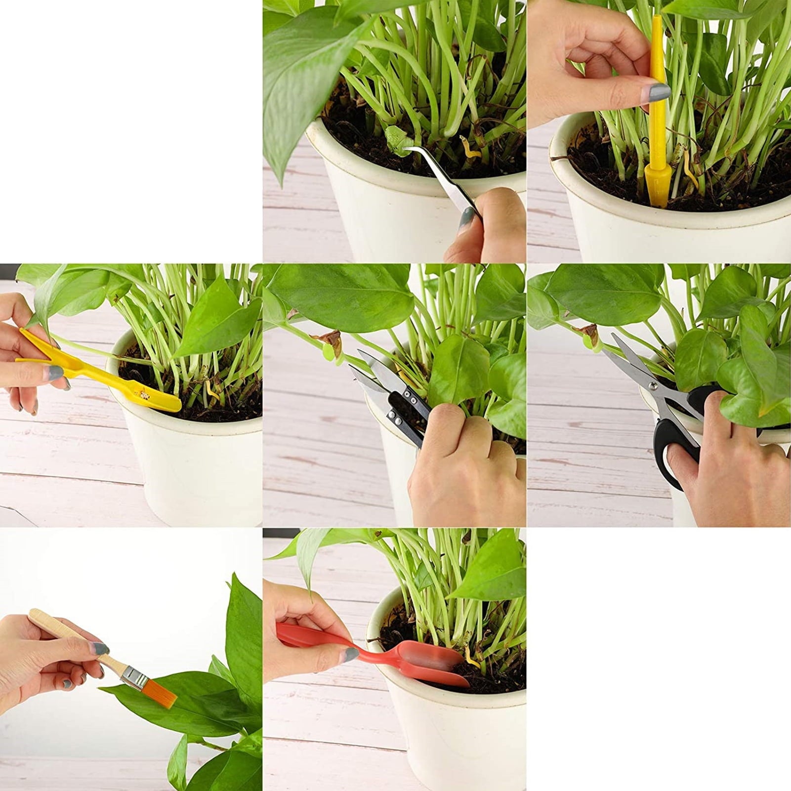 Garden Planting Tool Set for Succulents Weeding Digging Planting Transplanting Miniature Fairy Garden Cactus Bonsai P... - Image 4
